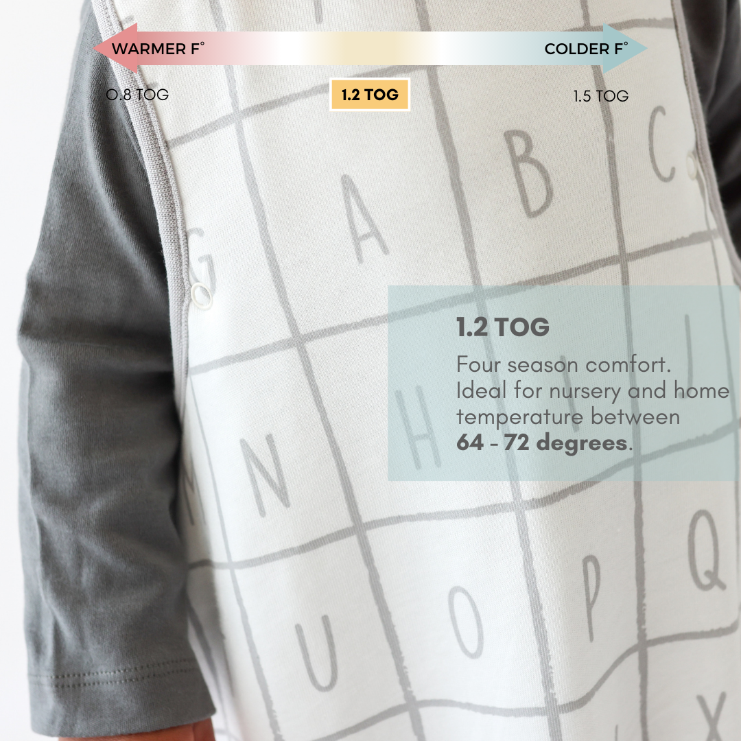 Dreambag | Alphabet | 1.2 Tog