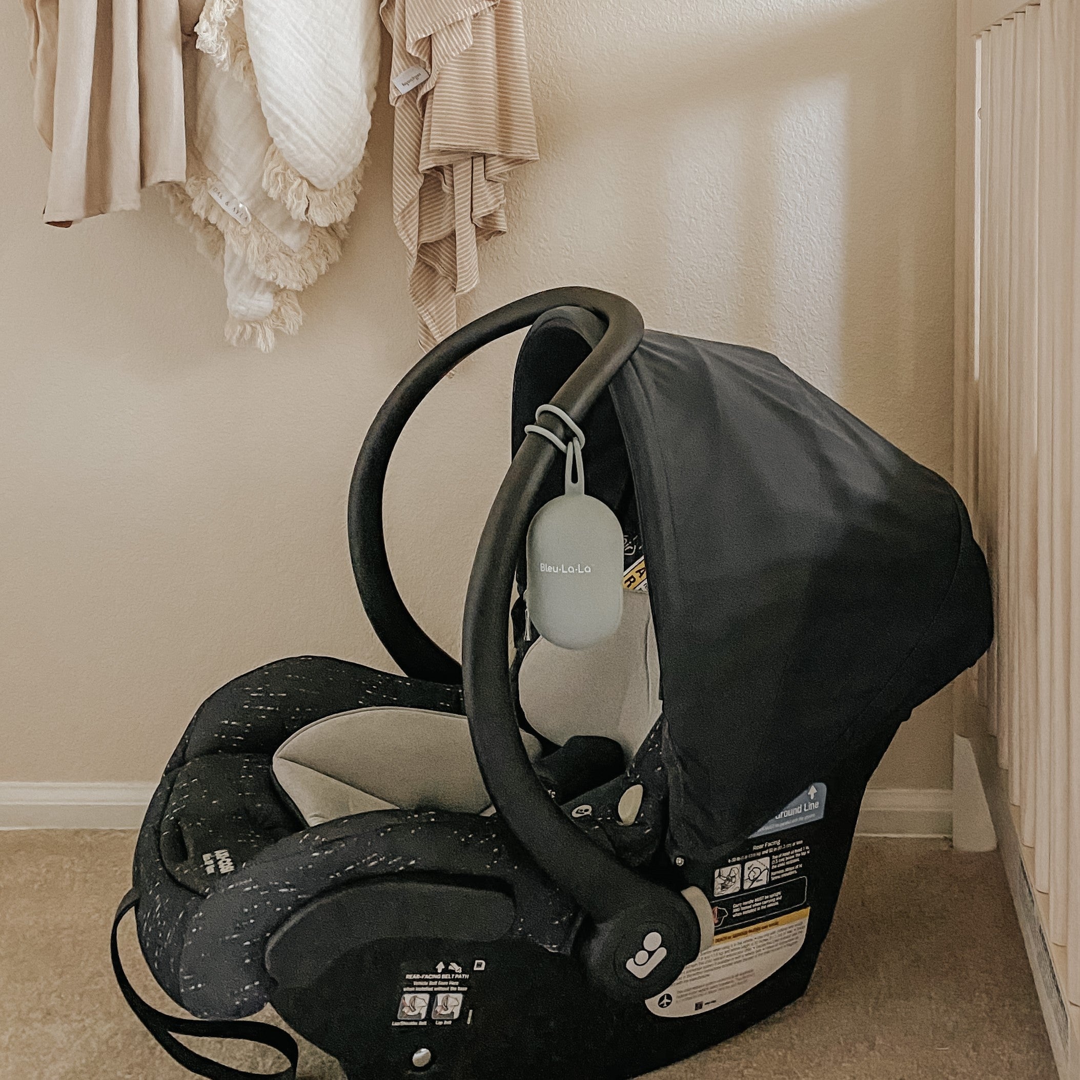 Pacifier Cases By Bleu La La