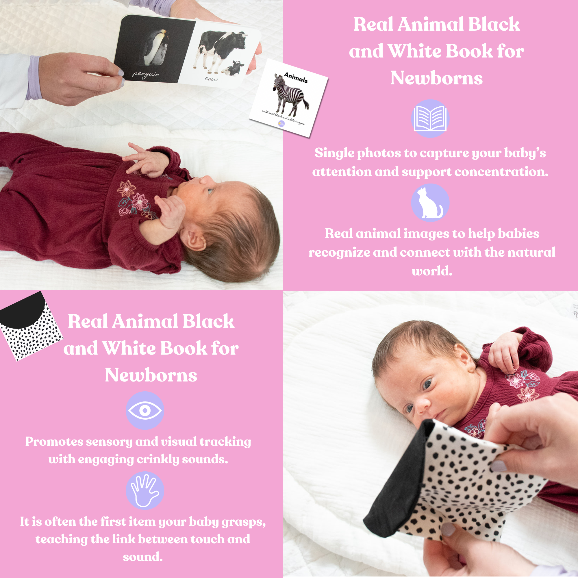 Montessori Newborn Starter Play Box