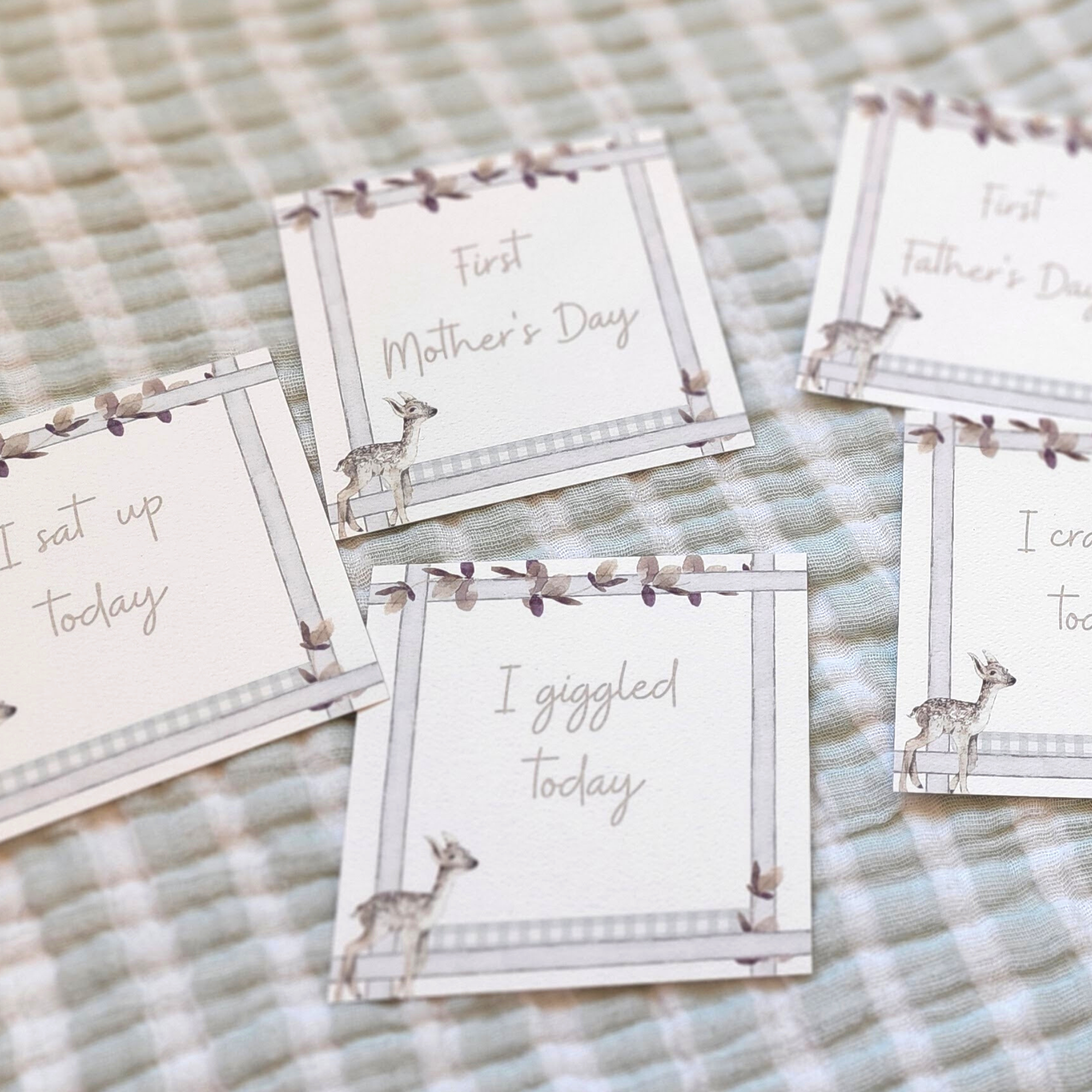 Infant Milestone + Memory Cards (0-12 Months)