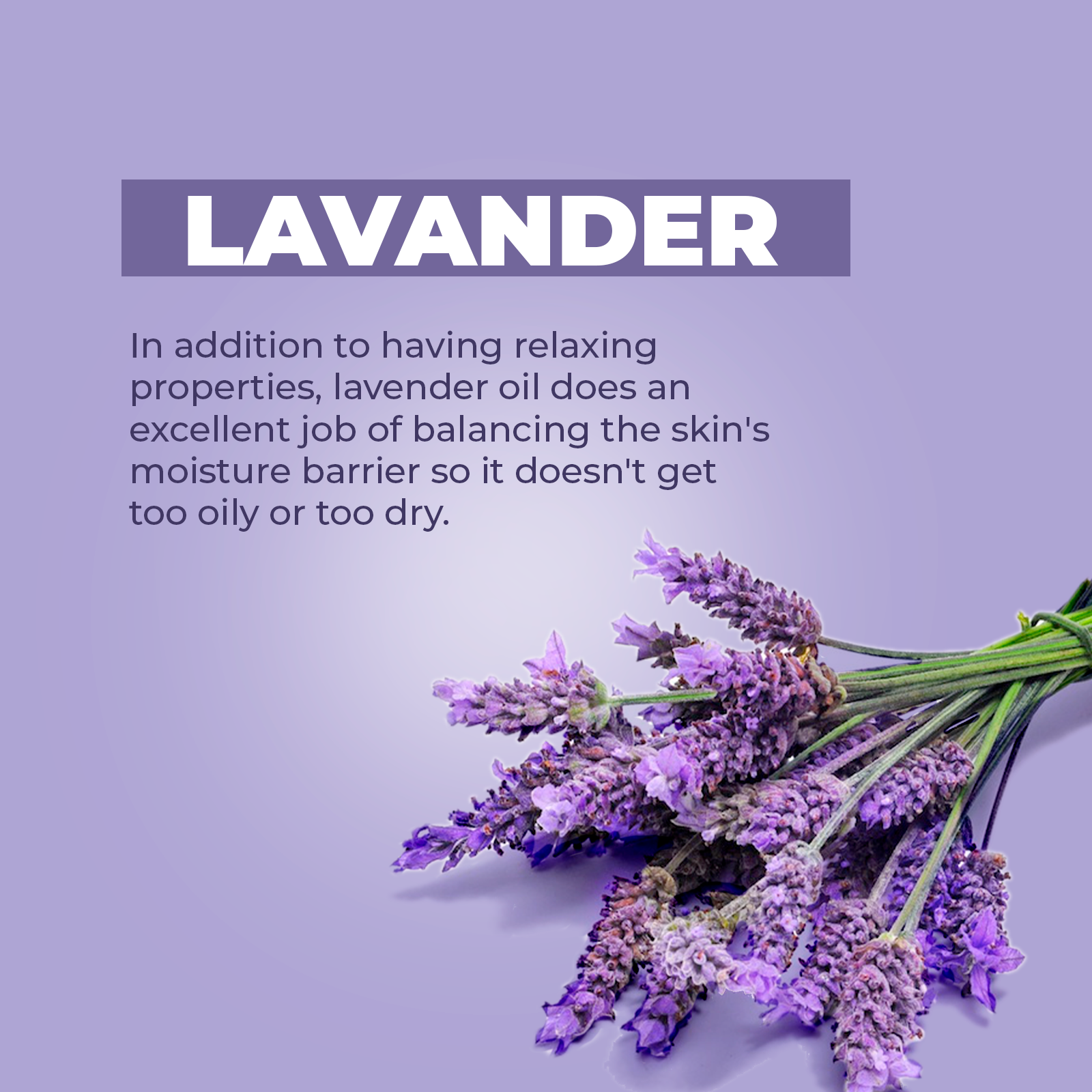 Comfort Legs | 6oz (170g)