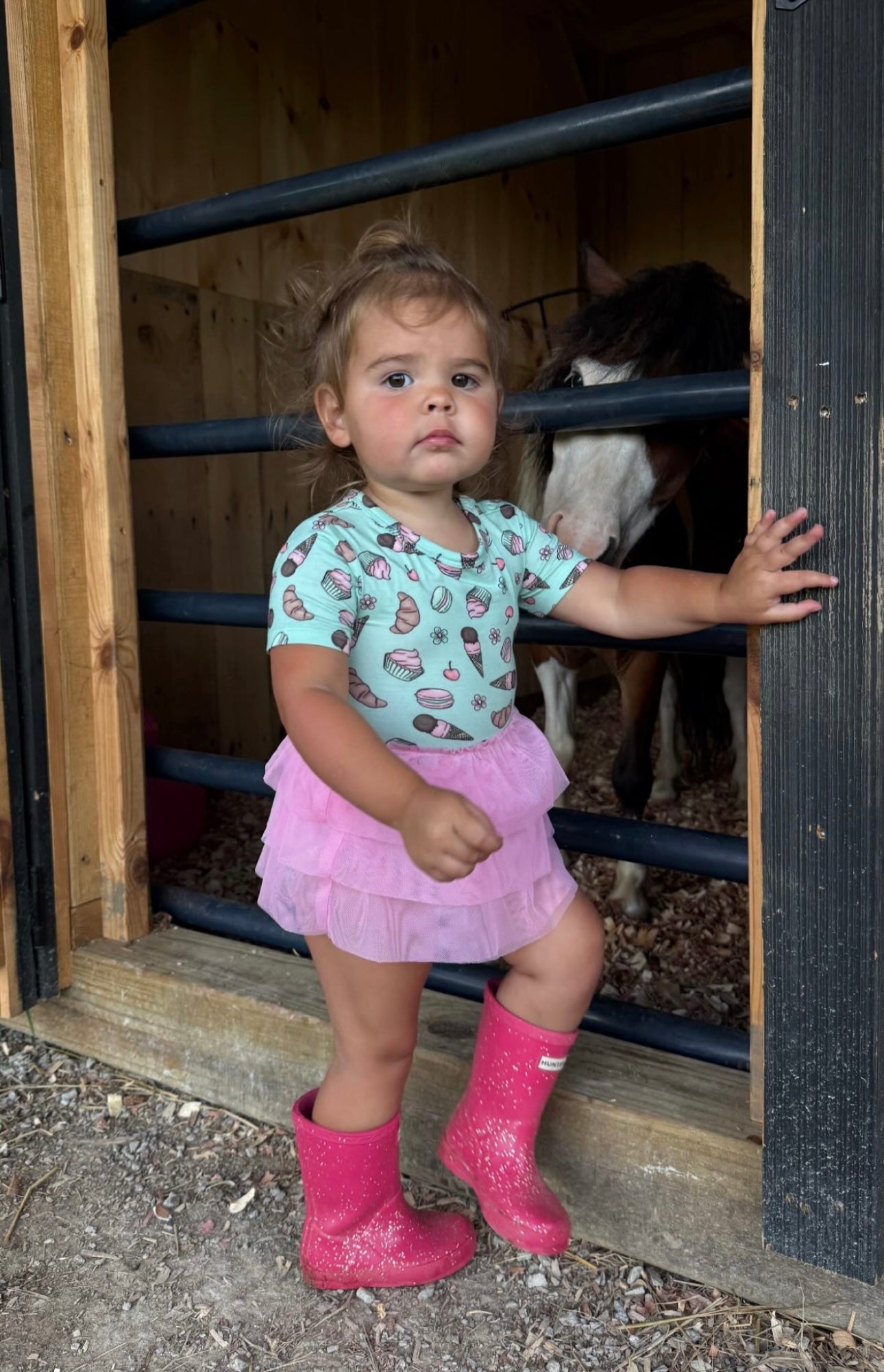 Exclusive Berry Cute Bakery Dream Tutu Bodysuit Dress