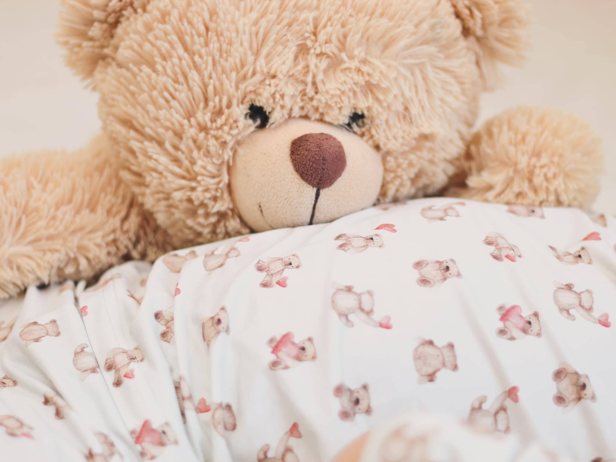 Teddy-gram 2pc Bamboo Pajama Set