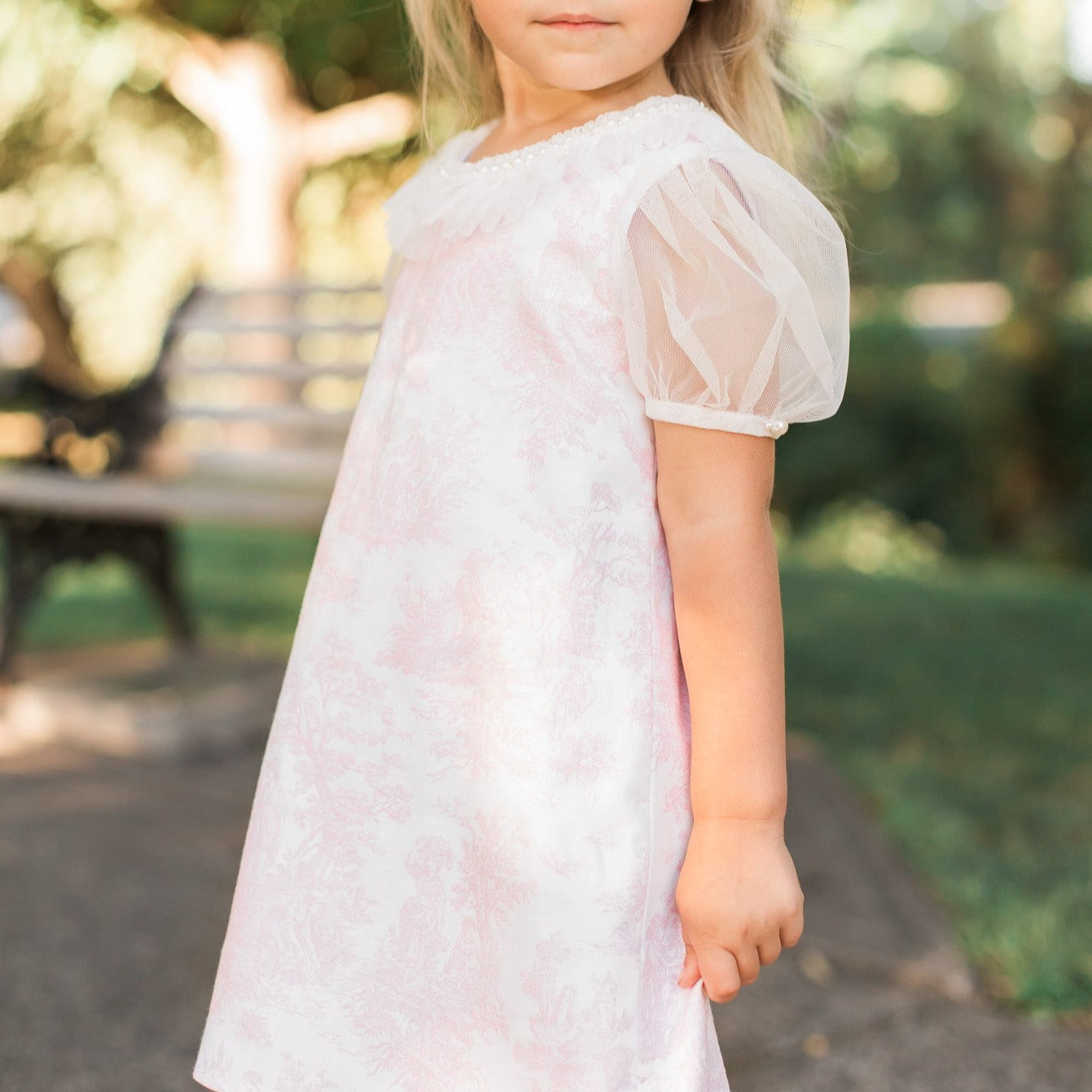 Pink French Toile Pearl Dress