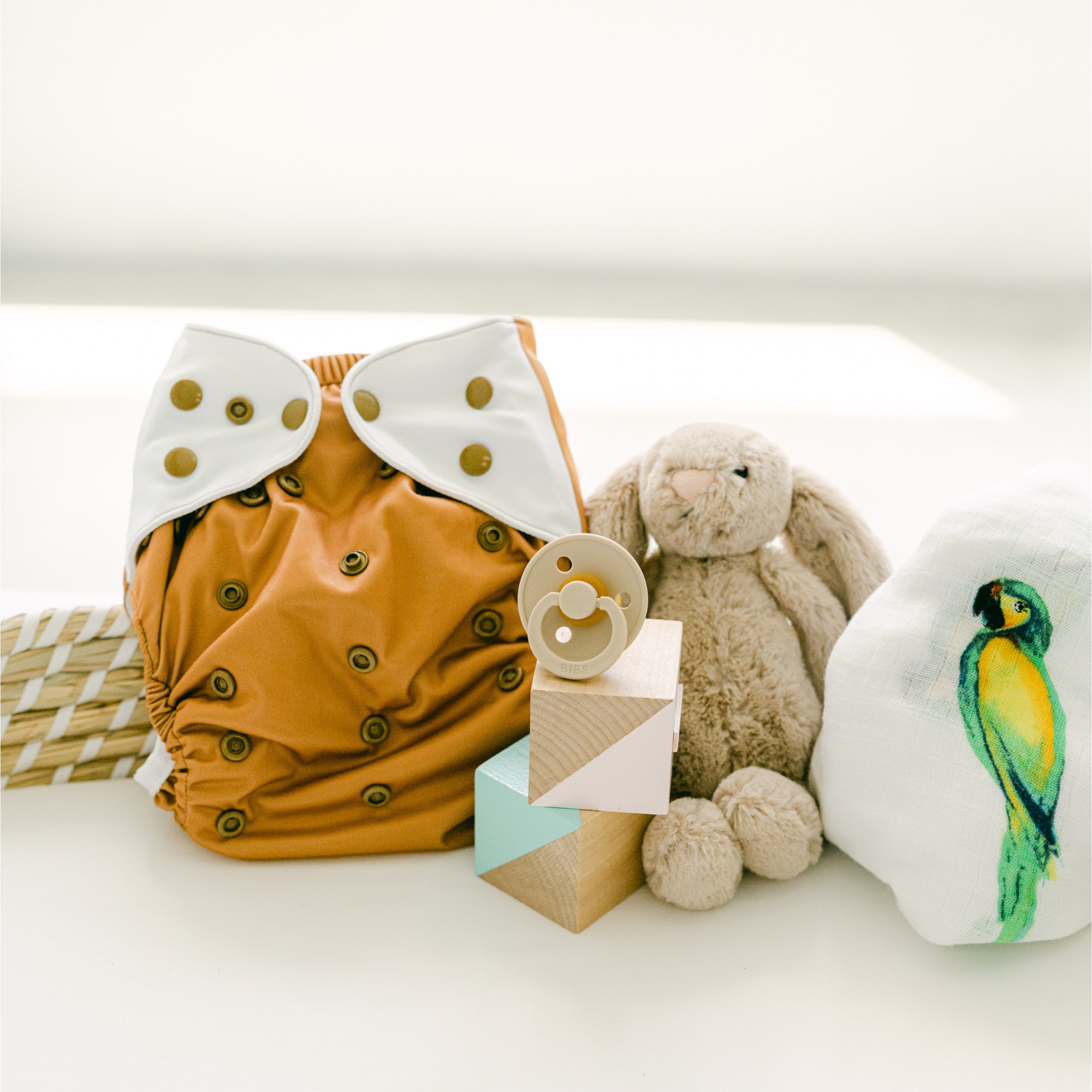 Cloth Diapers - Nature Collection - Single Diaper Set + Inserts