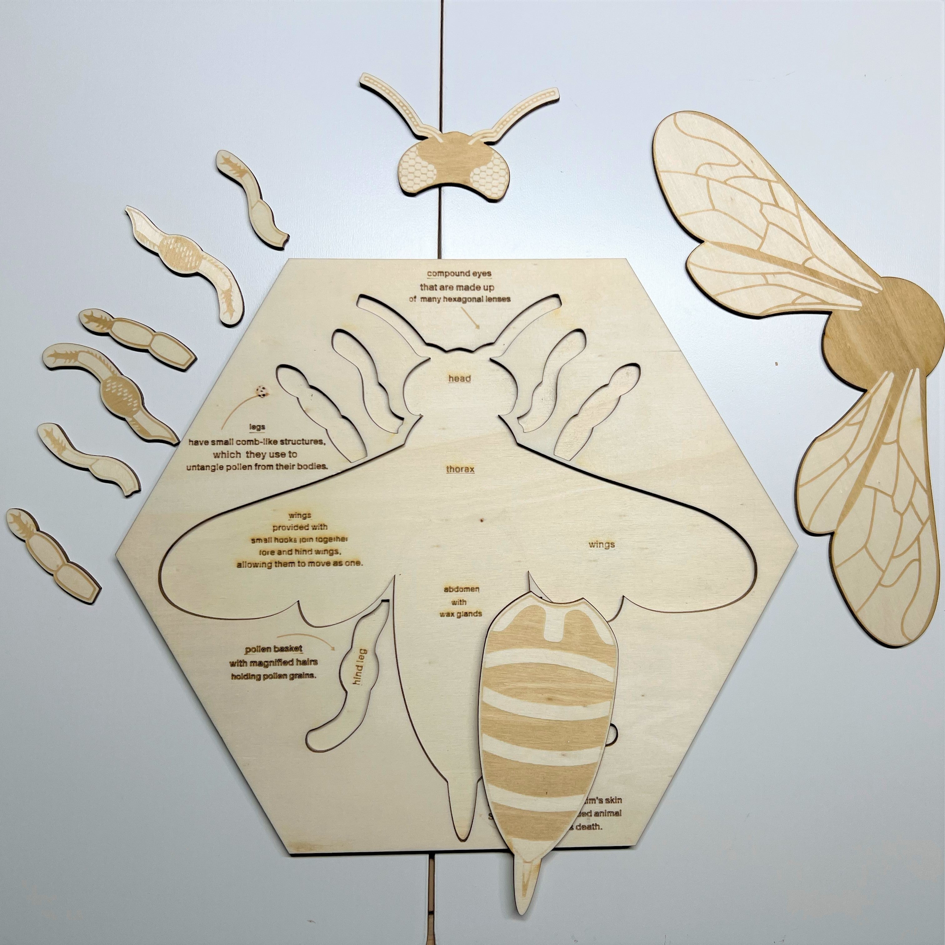 **pre-order (ships In 3-4 Weeks)**educational Multi-layered Wooden Puzzle