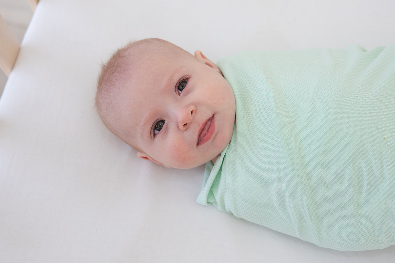 (solid, Ribbed) Lion Around - Lightweight Blanket