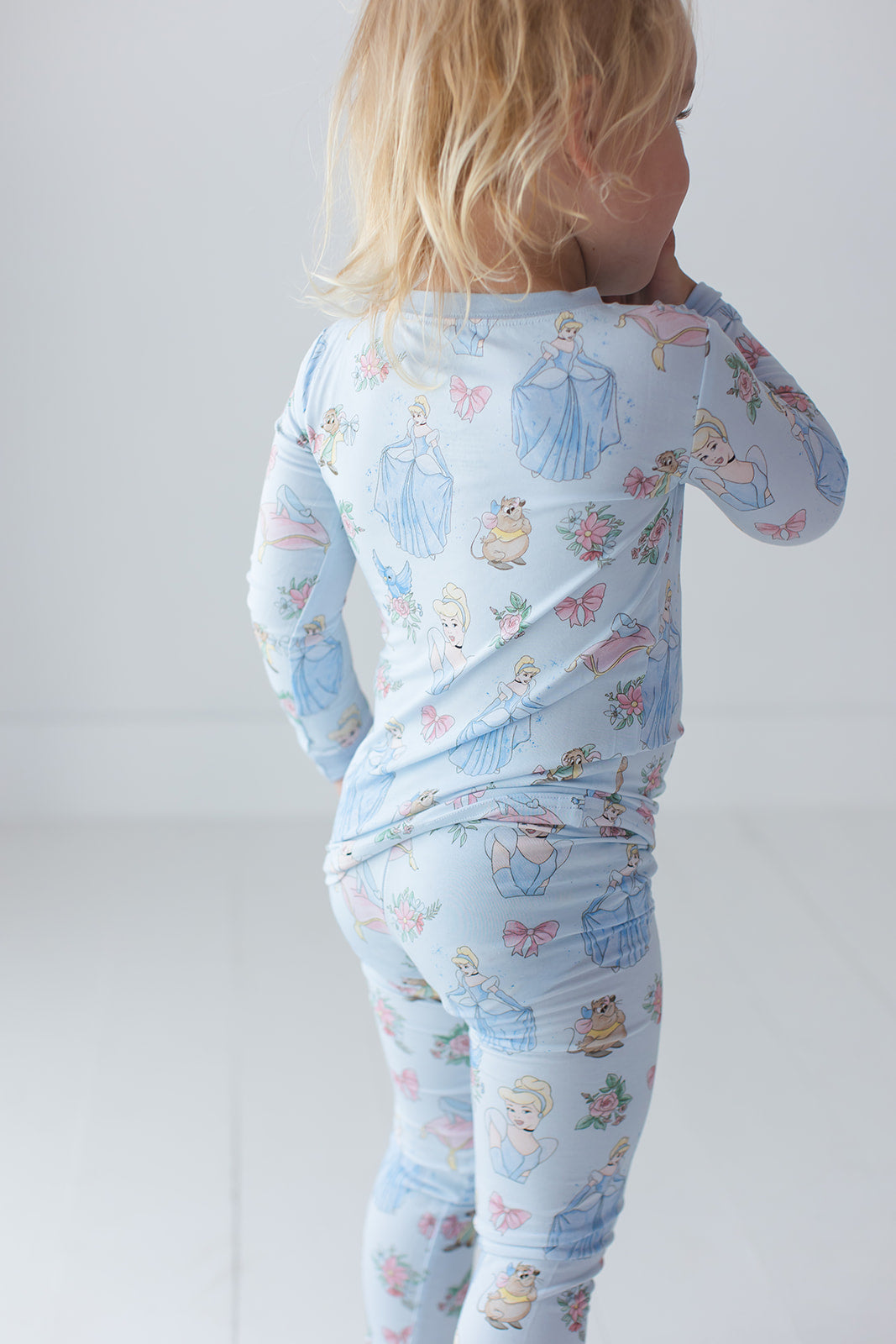 The Lost Slipper - Set