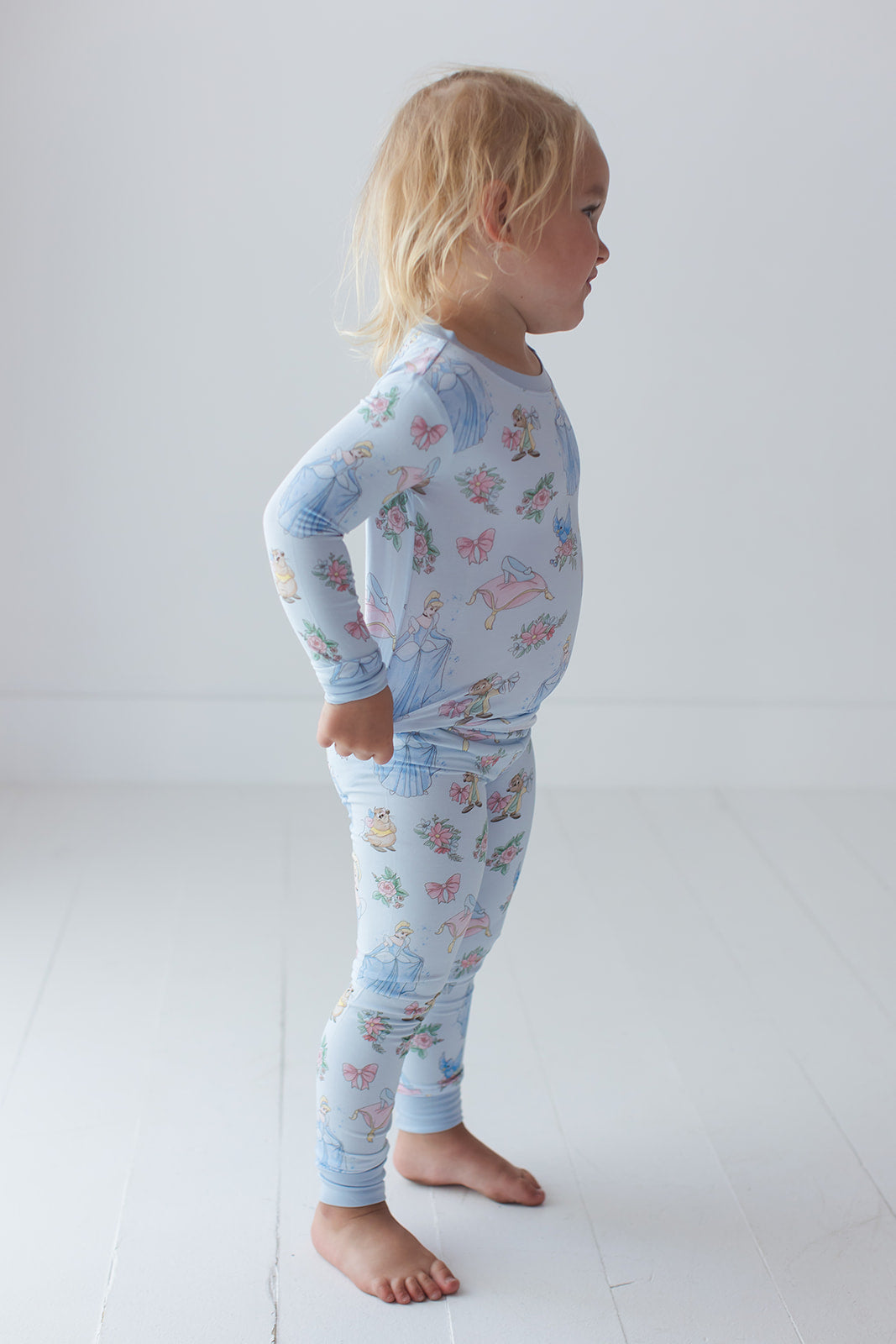 The Lost Slipper - Set