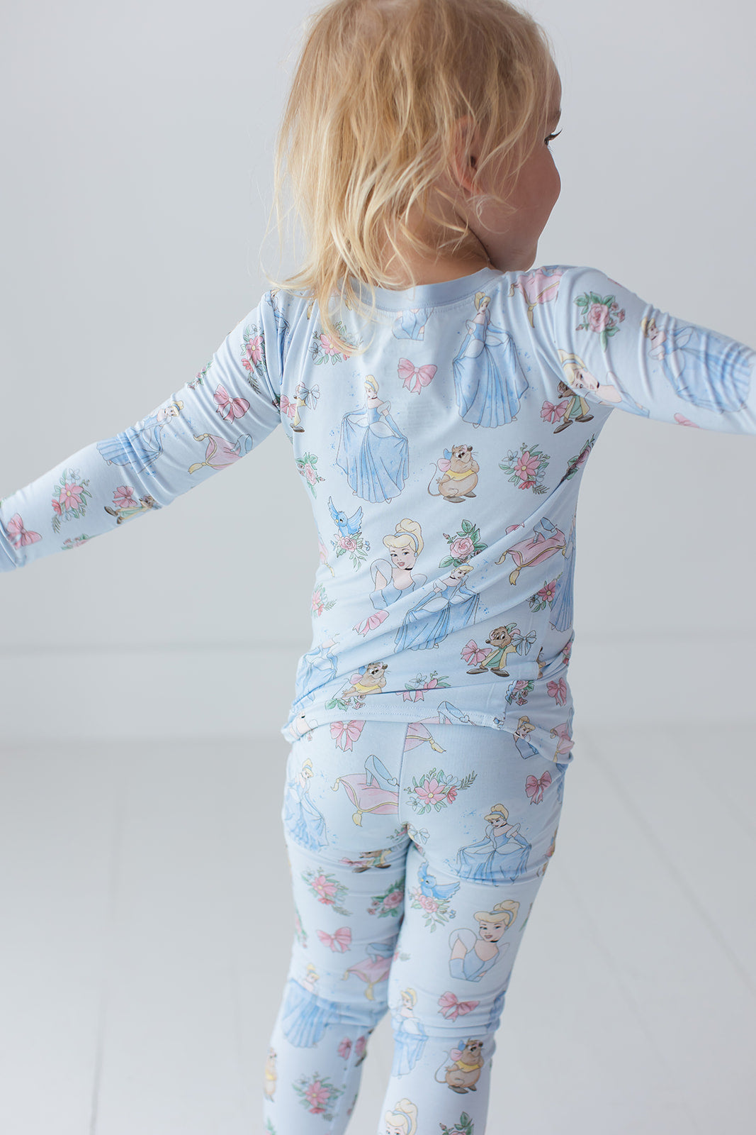 The Lost Slipper - Set