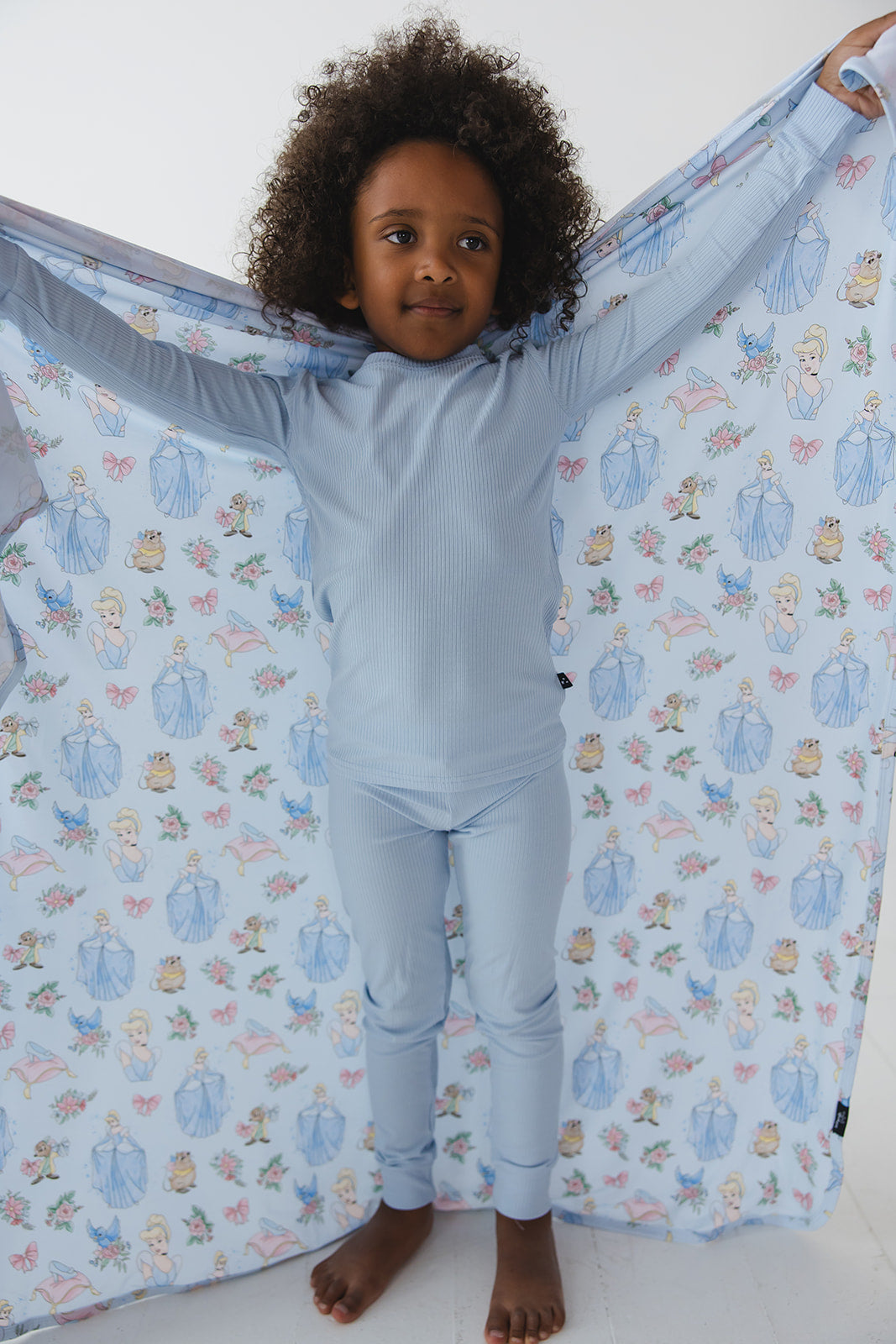 The Lost Slipper - Lightweight Blanket