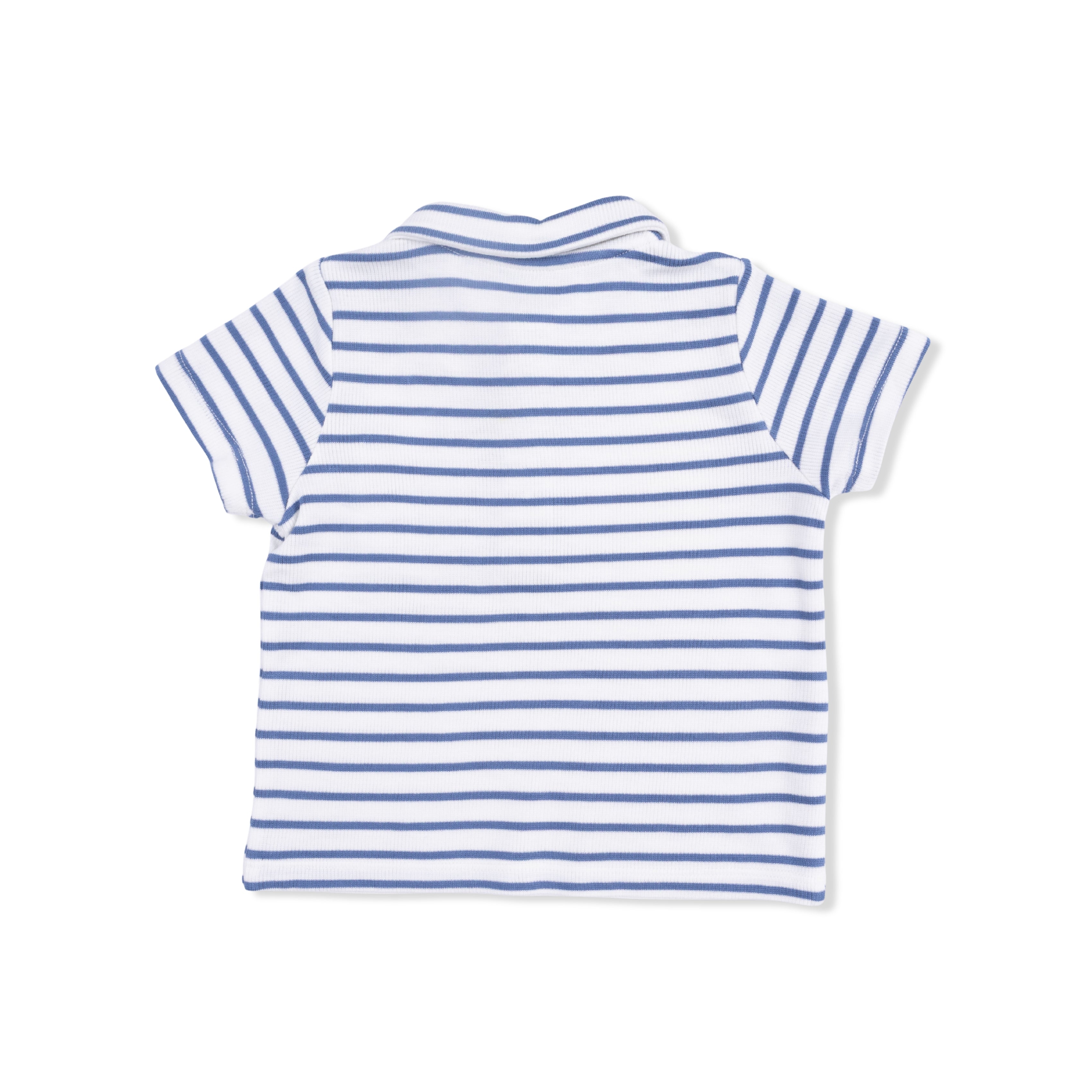 Navy Stripe - Polo With Everyday Short