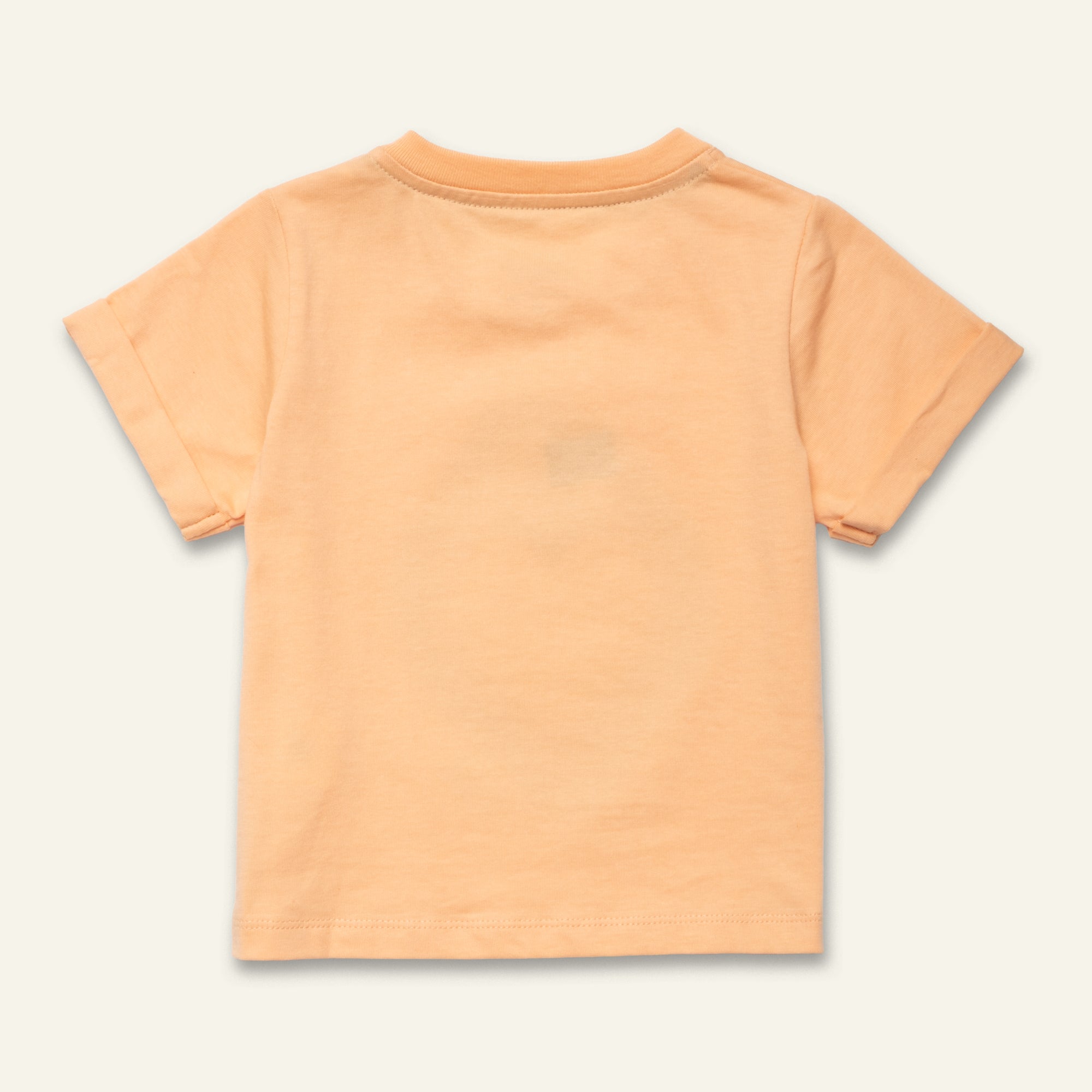 Strawberry T-shirt