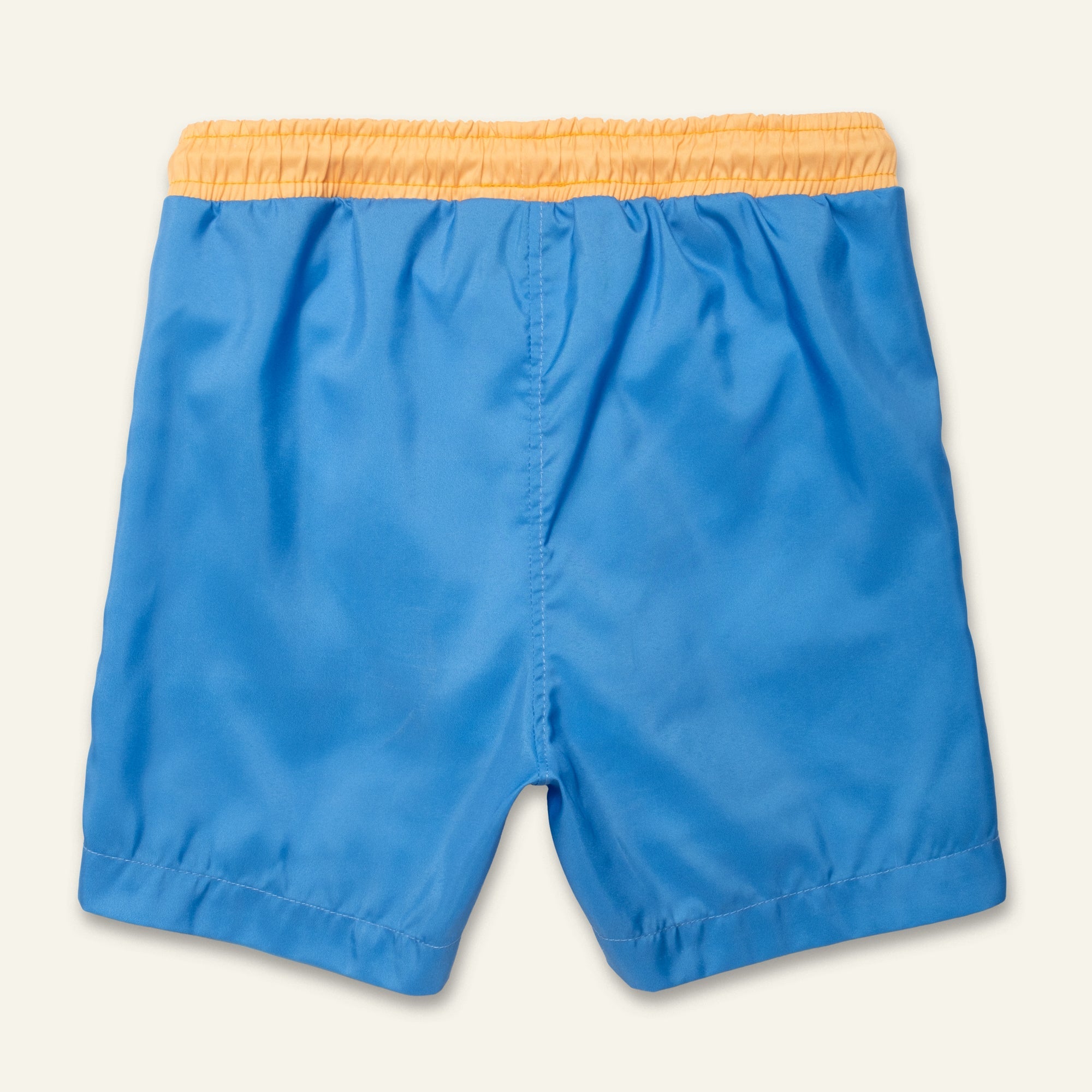 Blue Colorblock Swim Trunk