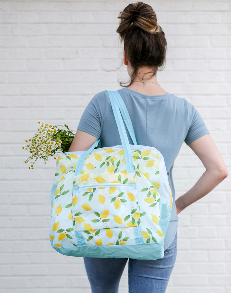 Lemon Sorbet Stowaway