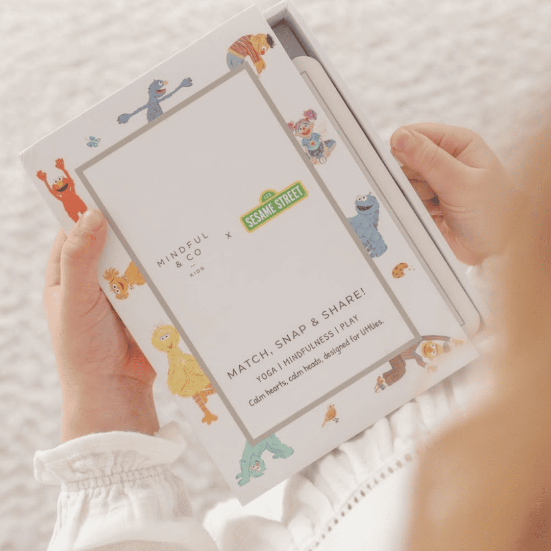 Sesame Street 3-in-1 Card Game