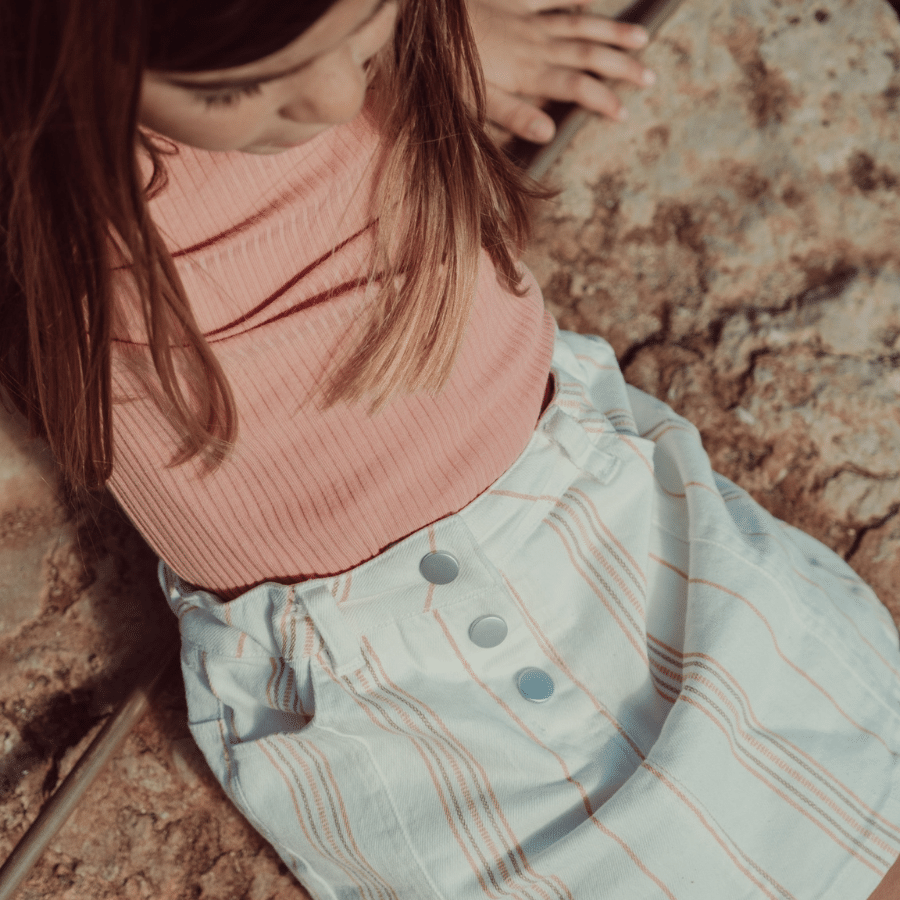 The Denim Skirt - Rose Stripe