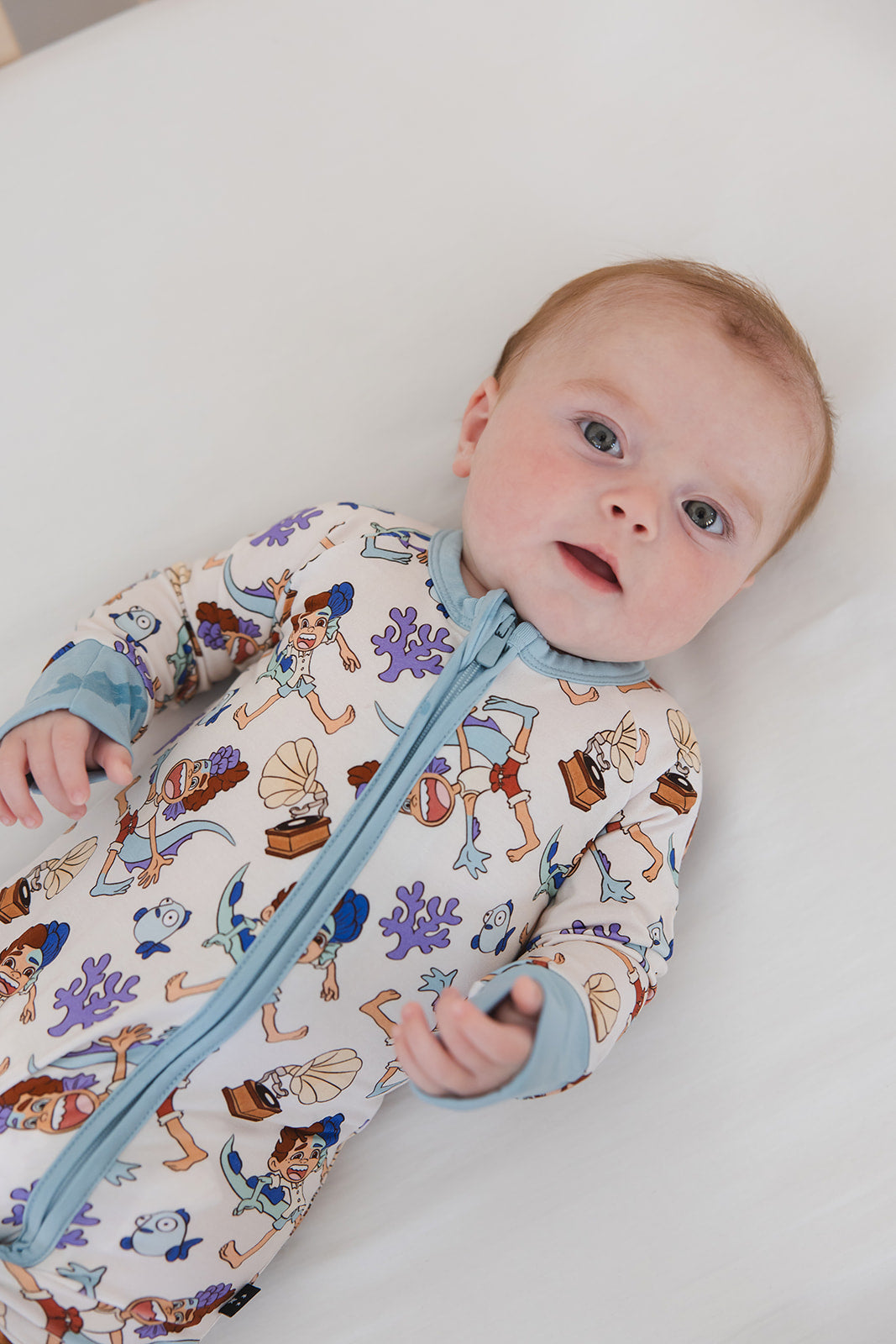 Silenzio, Bruno! - Zippy