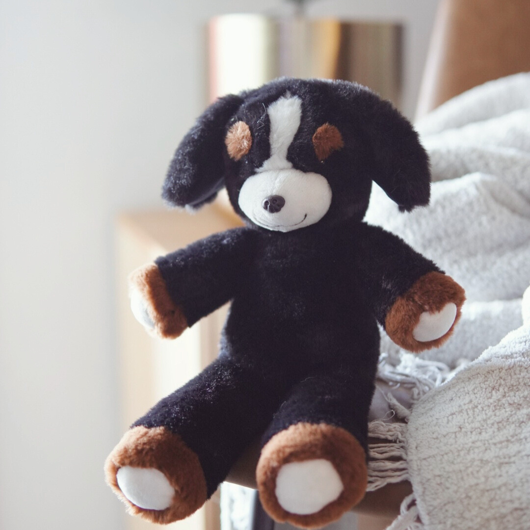 Zooby® Mini | Cooper Canine