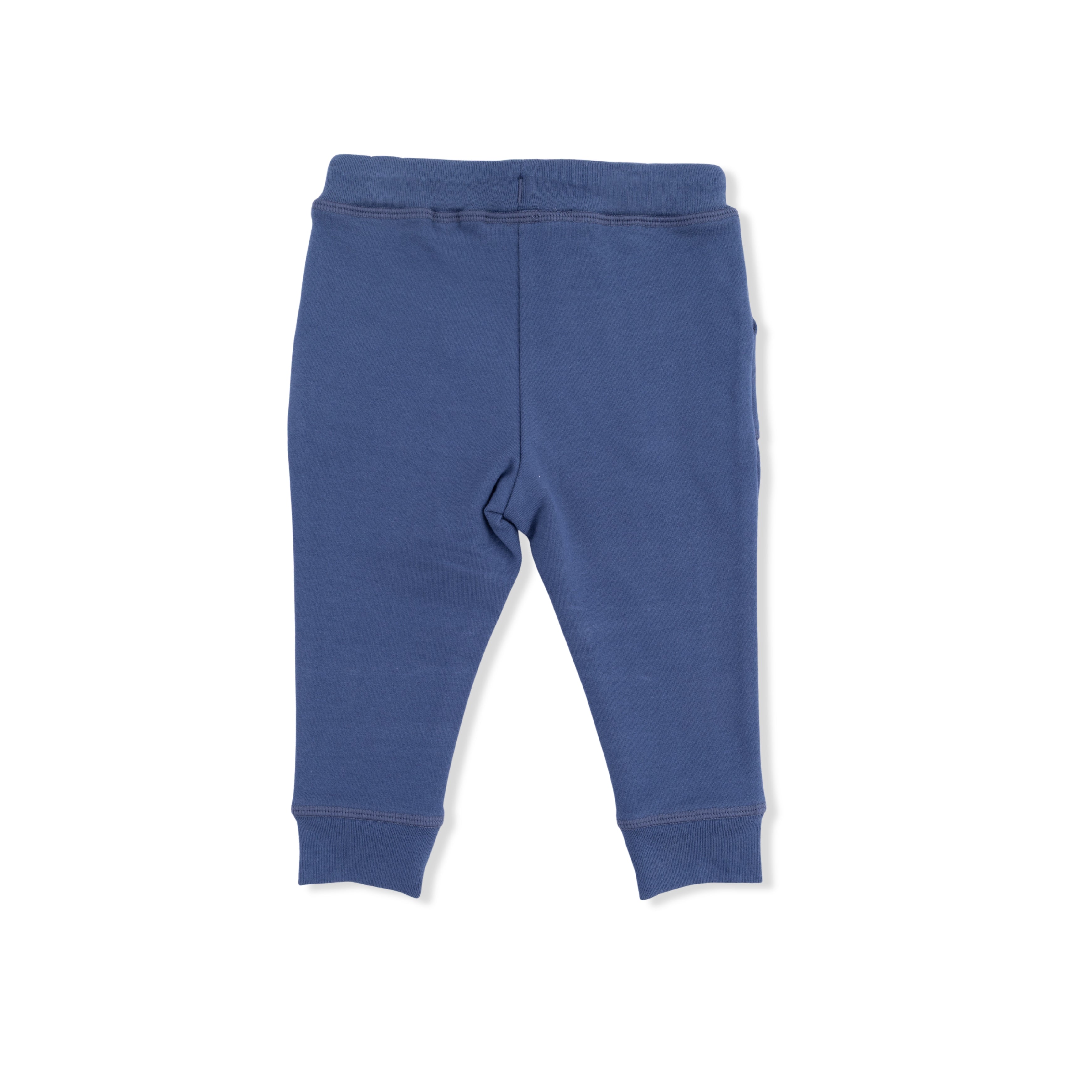 Solid Oceana - Jogger Pant