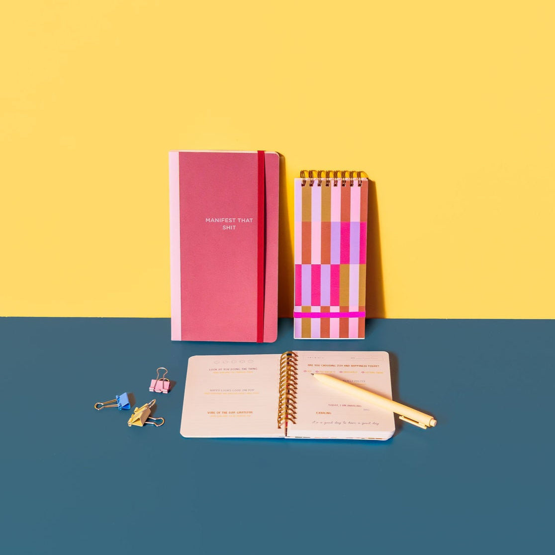 Manifest That Shit Skinny Notebook