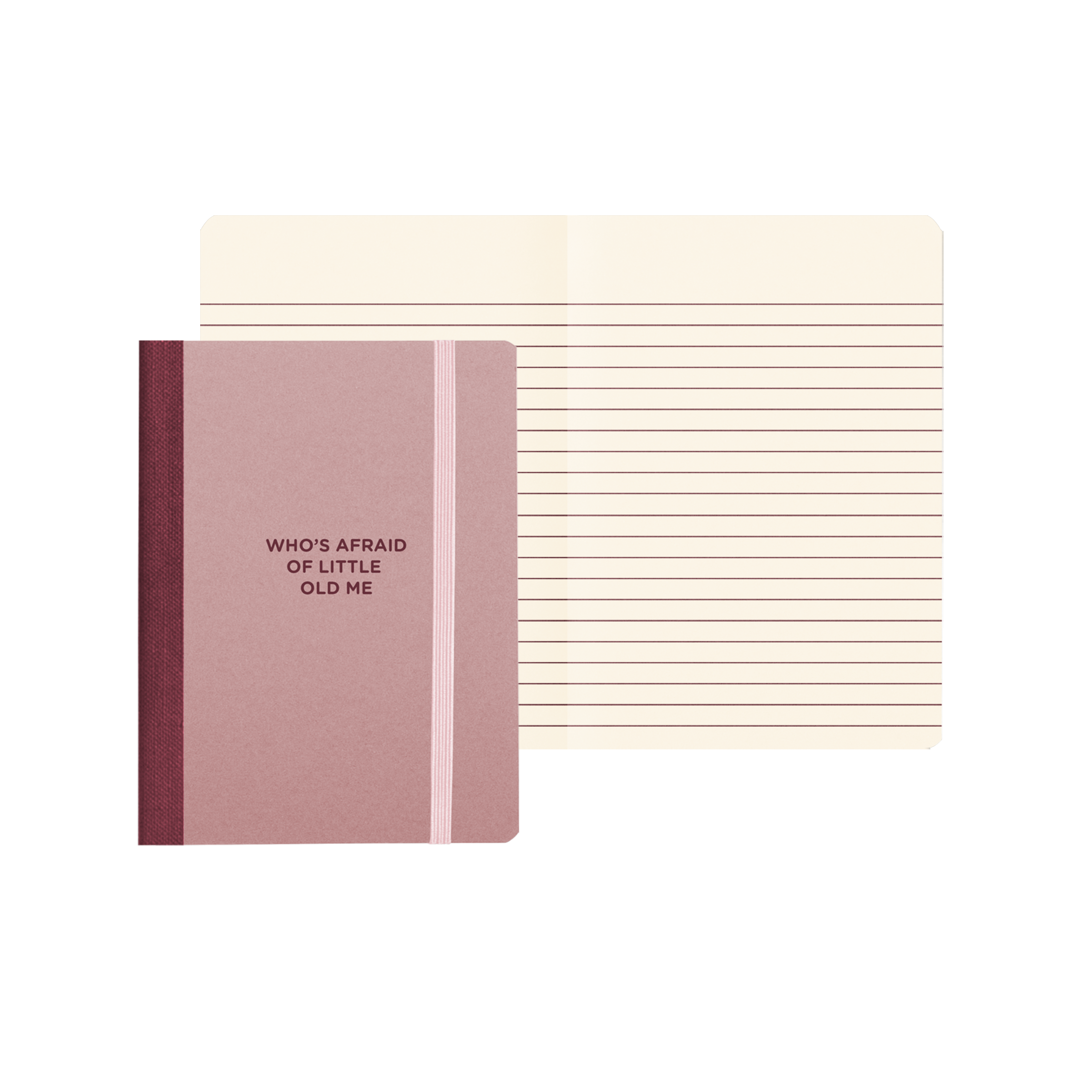 Who's Afraid Of Me Mini Notebook