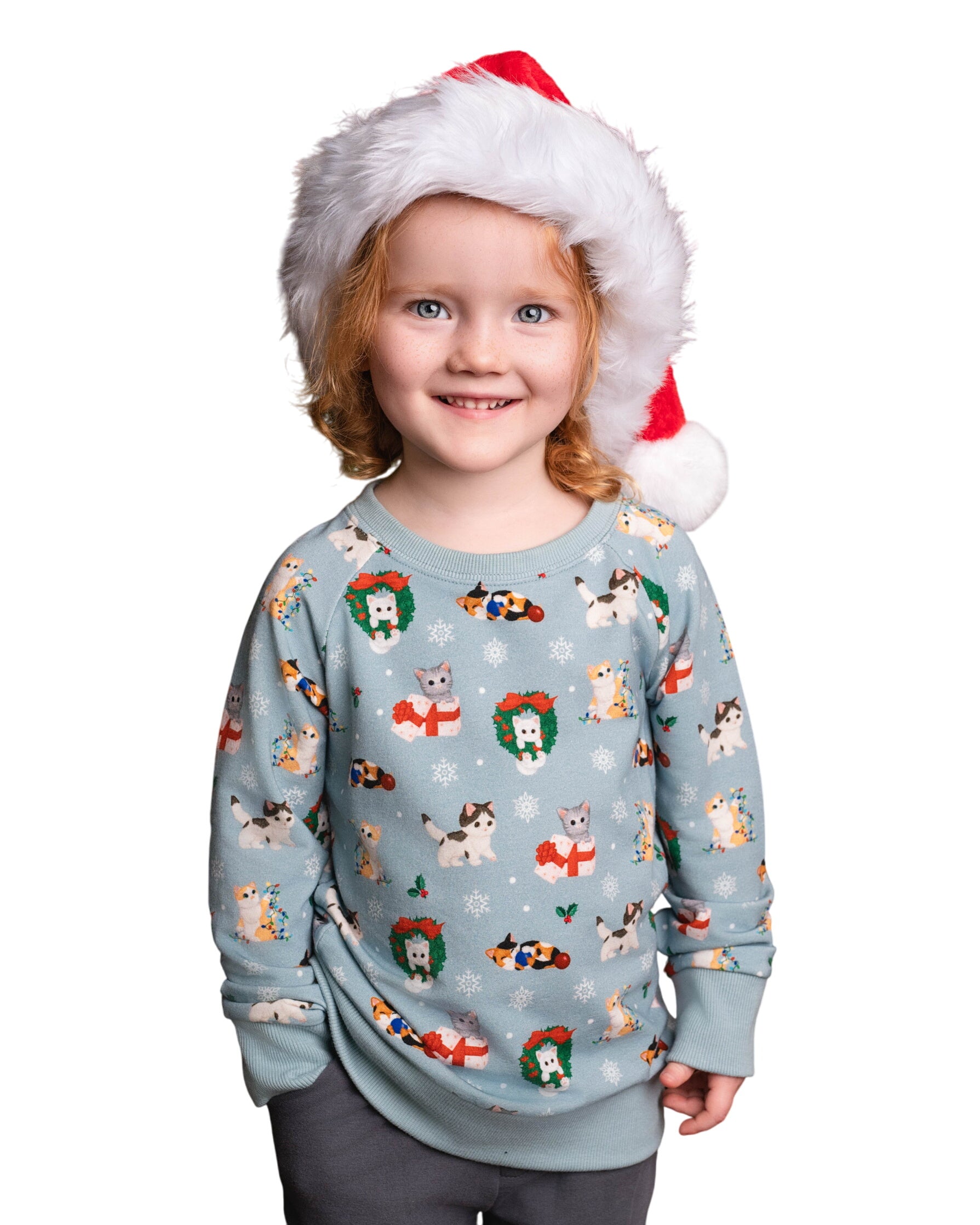 Whisker Wonderland Christmas Kittens Bamboo French Terry Crewneck Sweatshirt