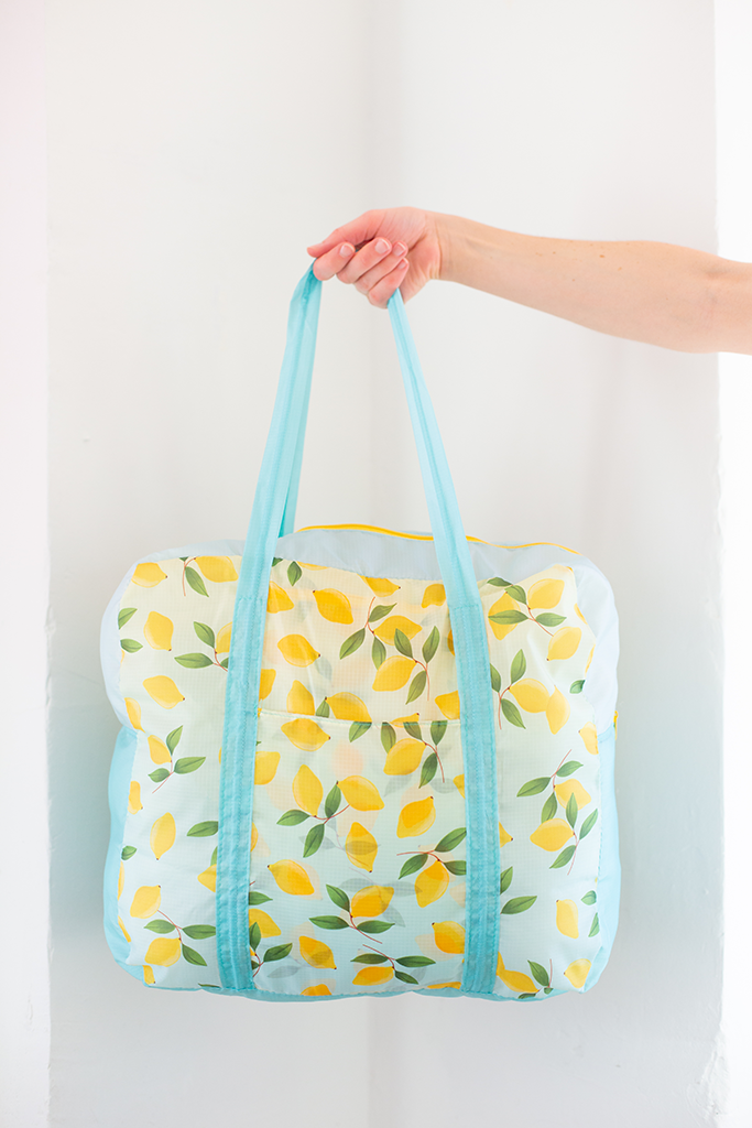 Lemon Sorbet Stowaway