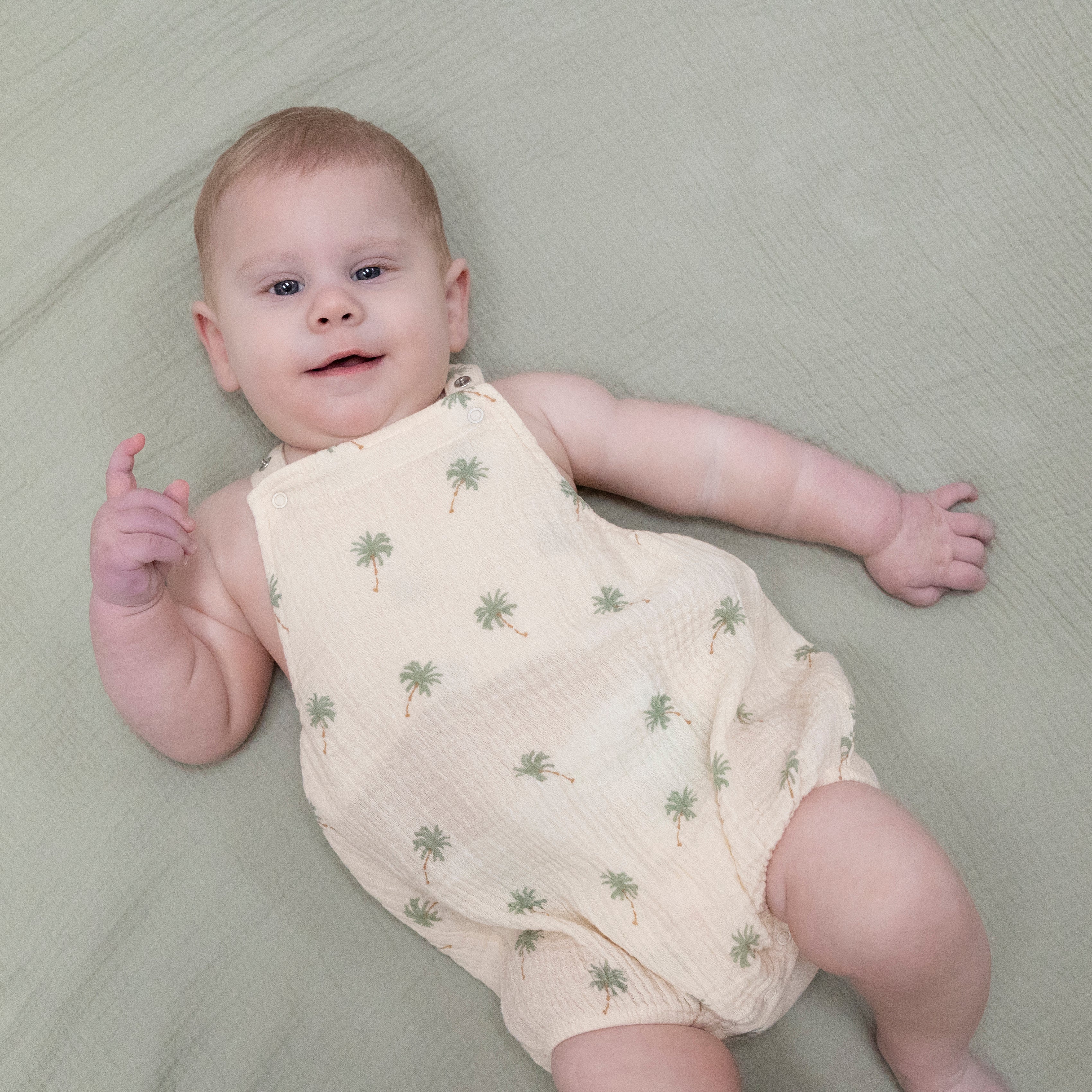 Palm Trees - Sunsuit