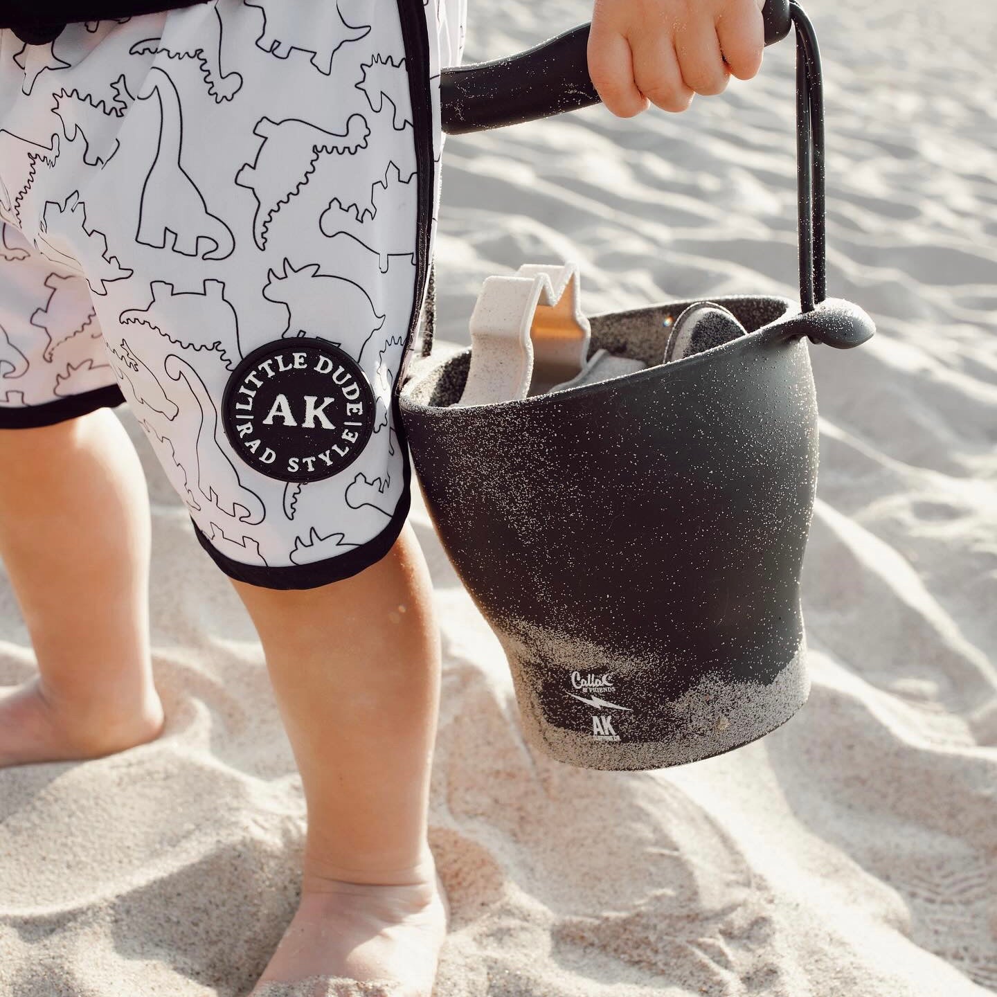 Ak Clothing X C&f Dino Silicone Beach Toy Set