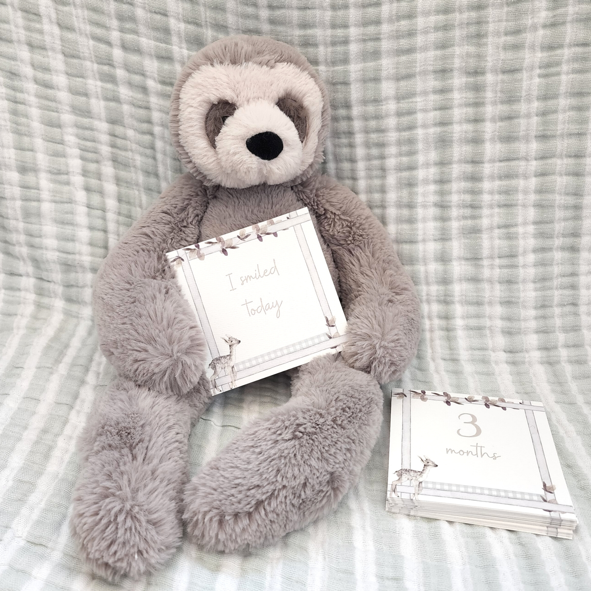 Infant Milestone + Memory Cards (0-12 Months)