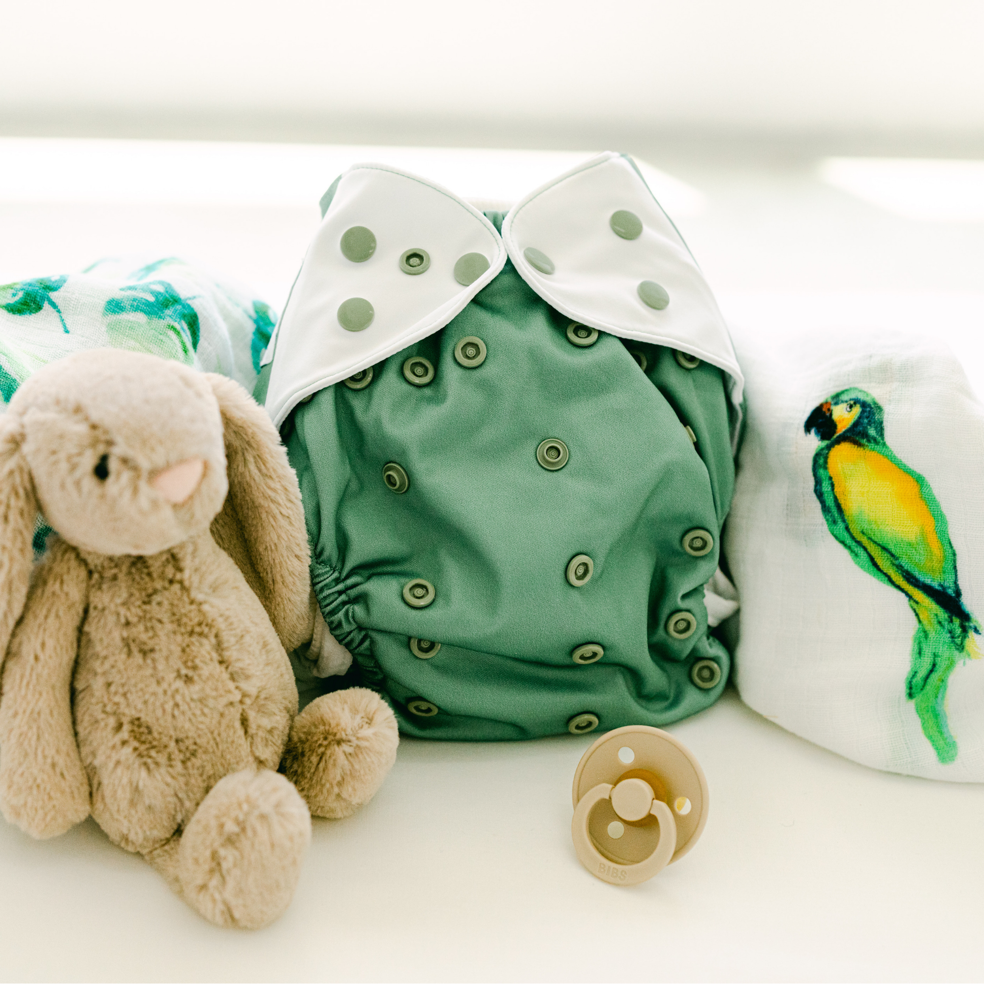 Cloth Diapers - Nature Collection - Single Diaper Set + Inserts
