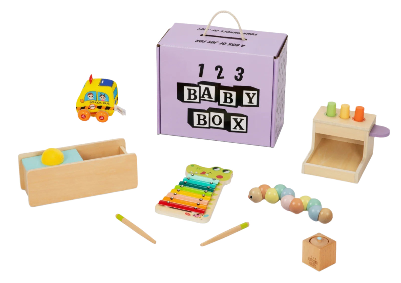 Montessori Educational Box (11-12 Months)