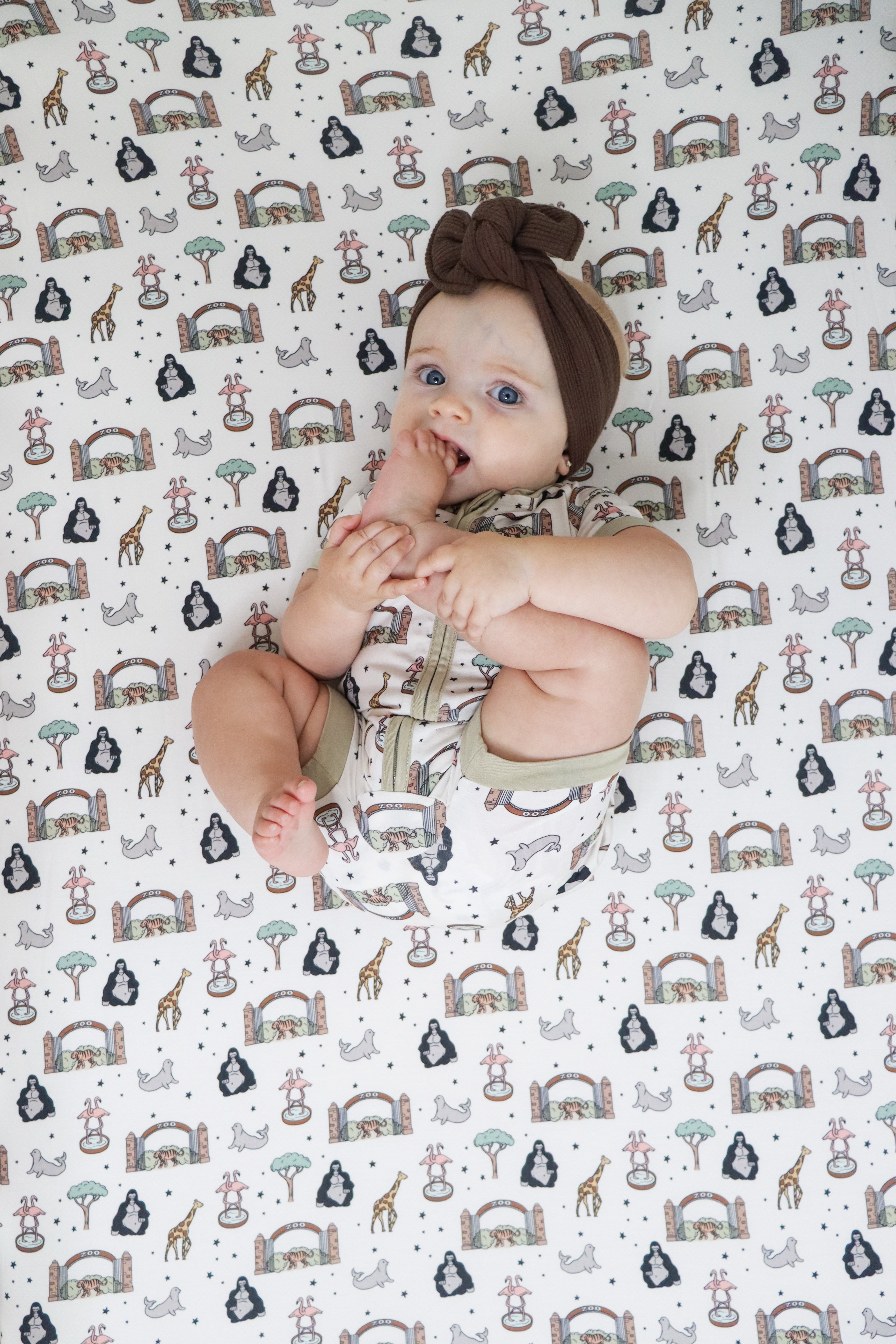 Exclusive Zoo Adventures Dream Shortie