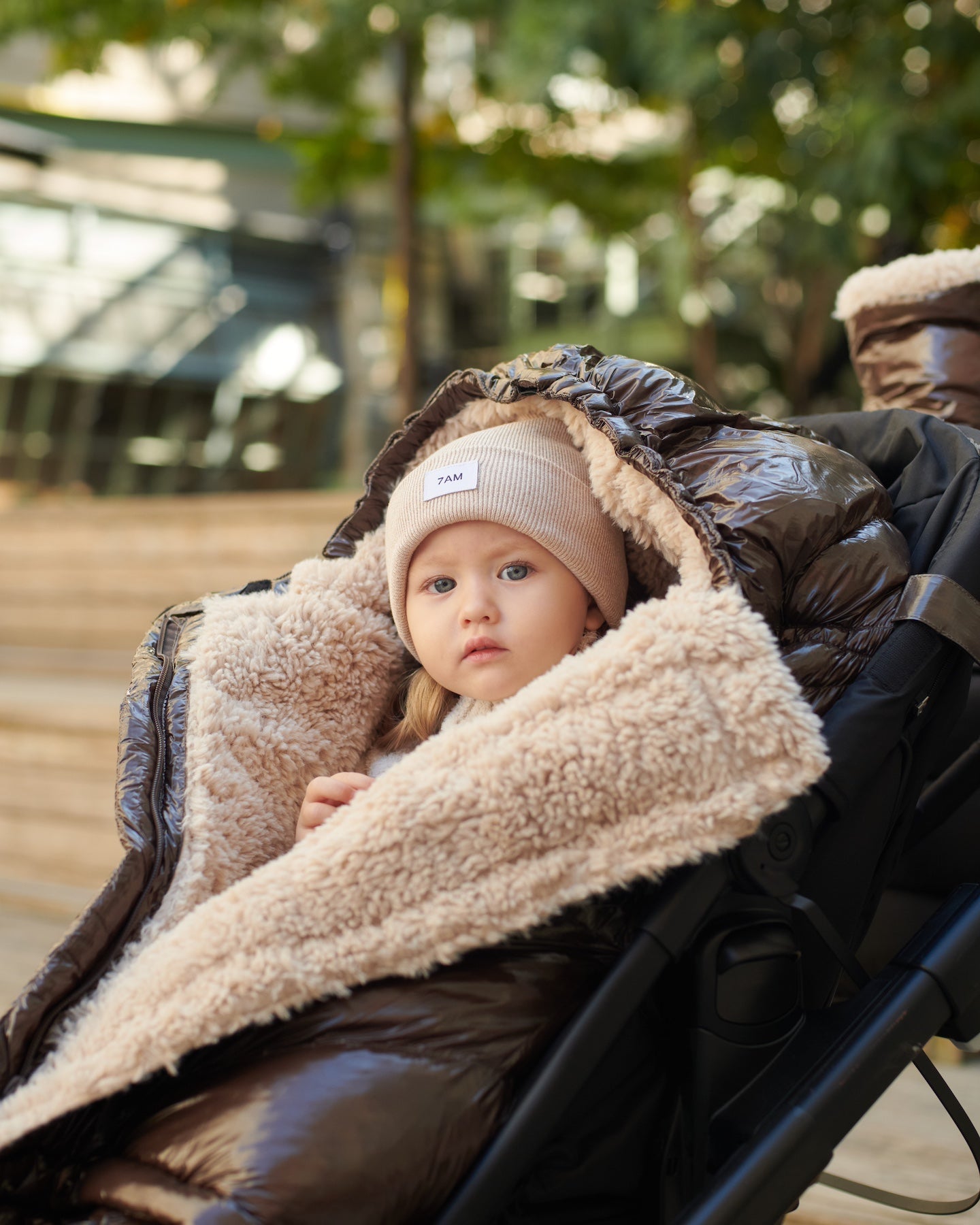 Blanket 212 Evolution - Polar