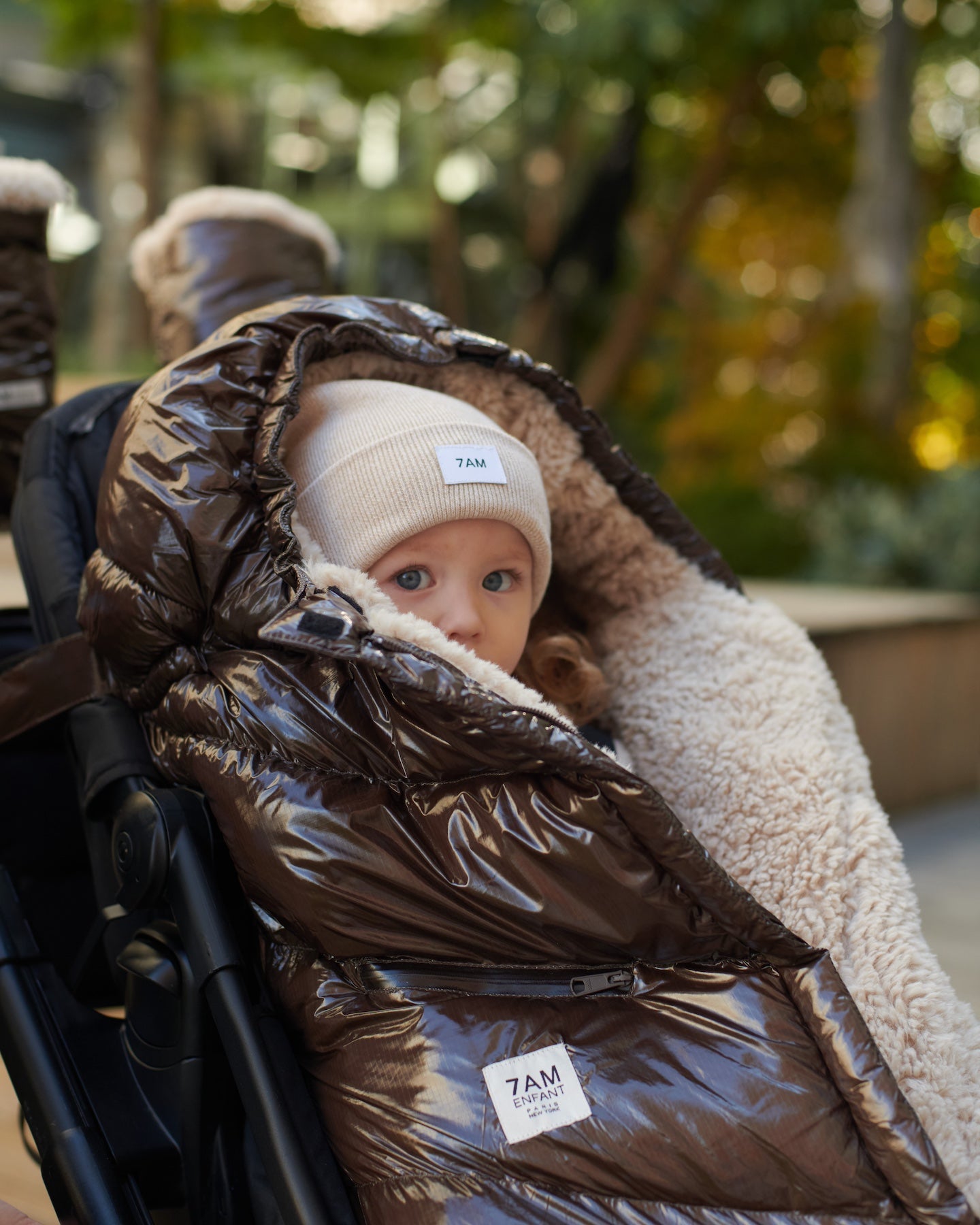 Blanket 212 Evolution - Polar