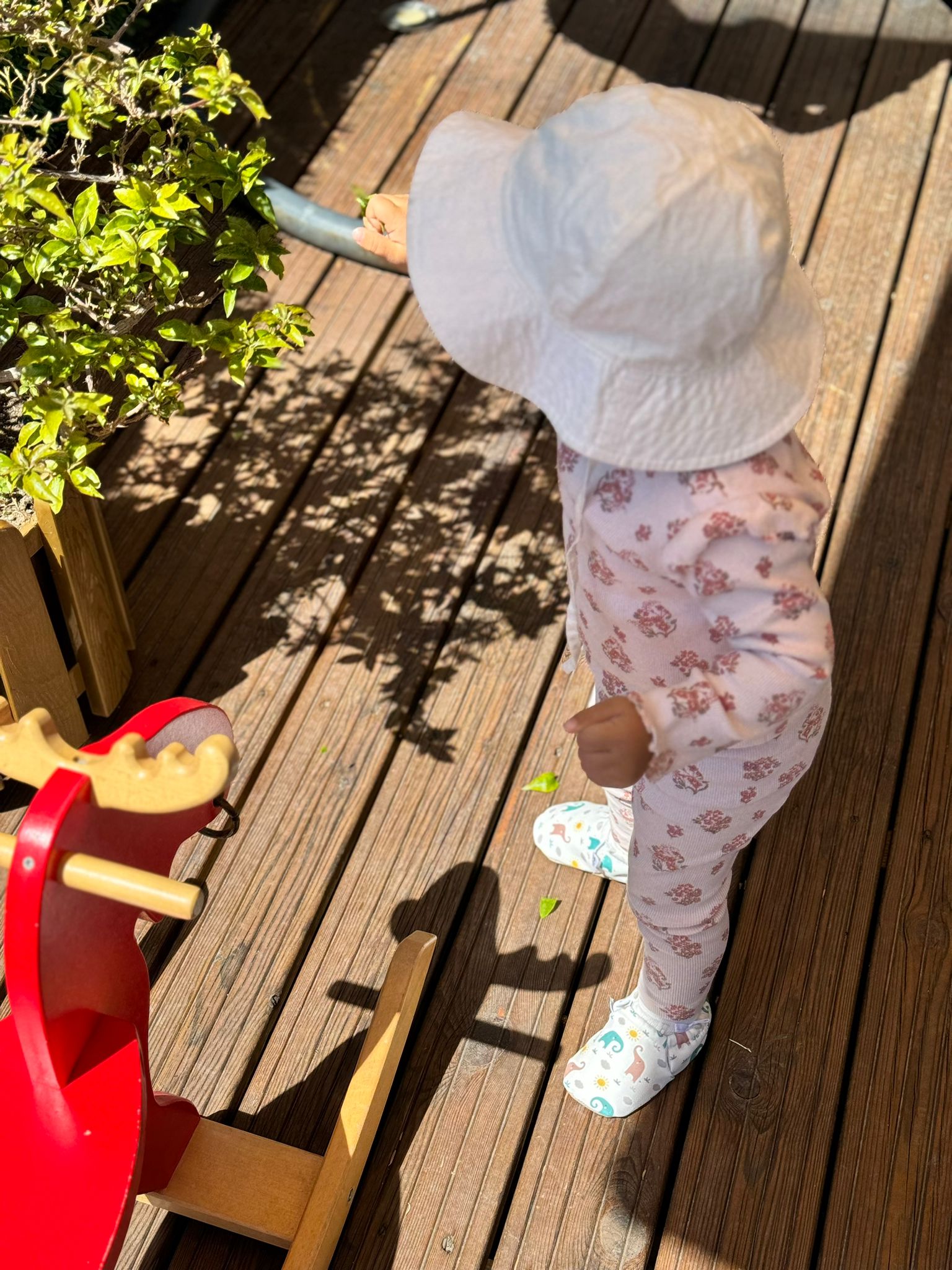 Moccasins, Slippers, Elephant