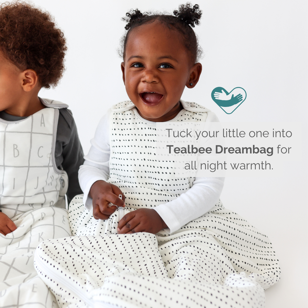 Dreambag | Brushed Black | 1.5 Tog