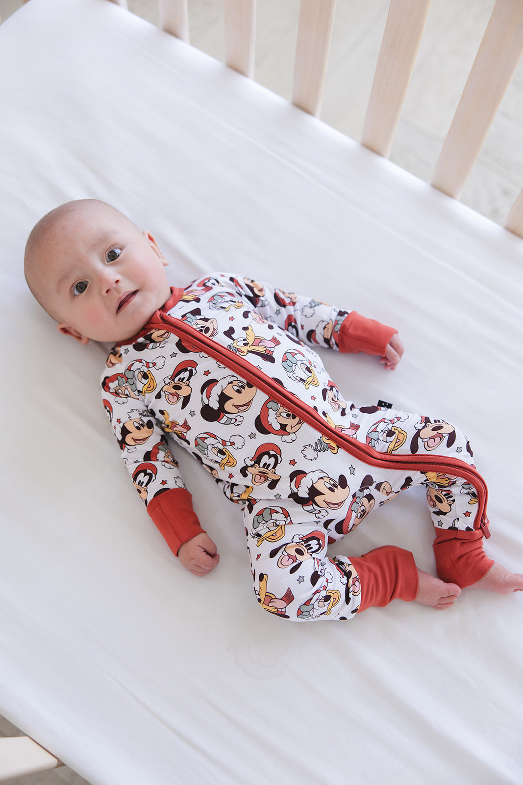 Very Merry Christmas - Zippy