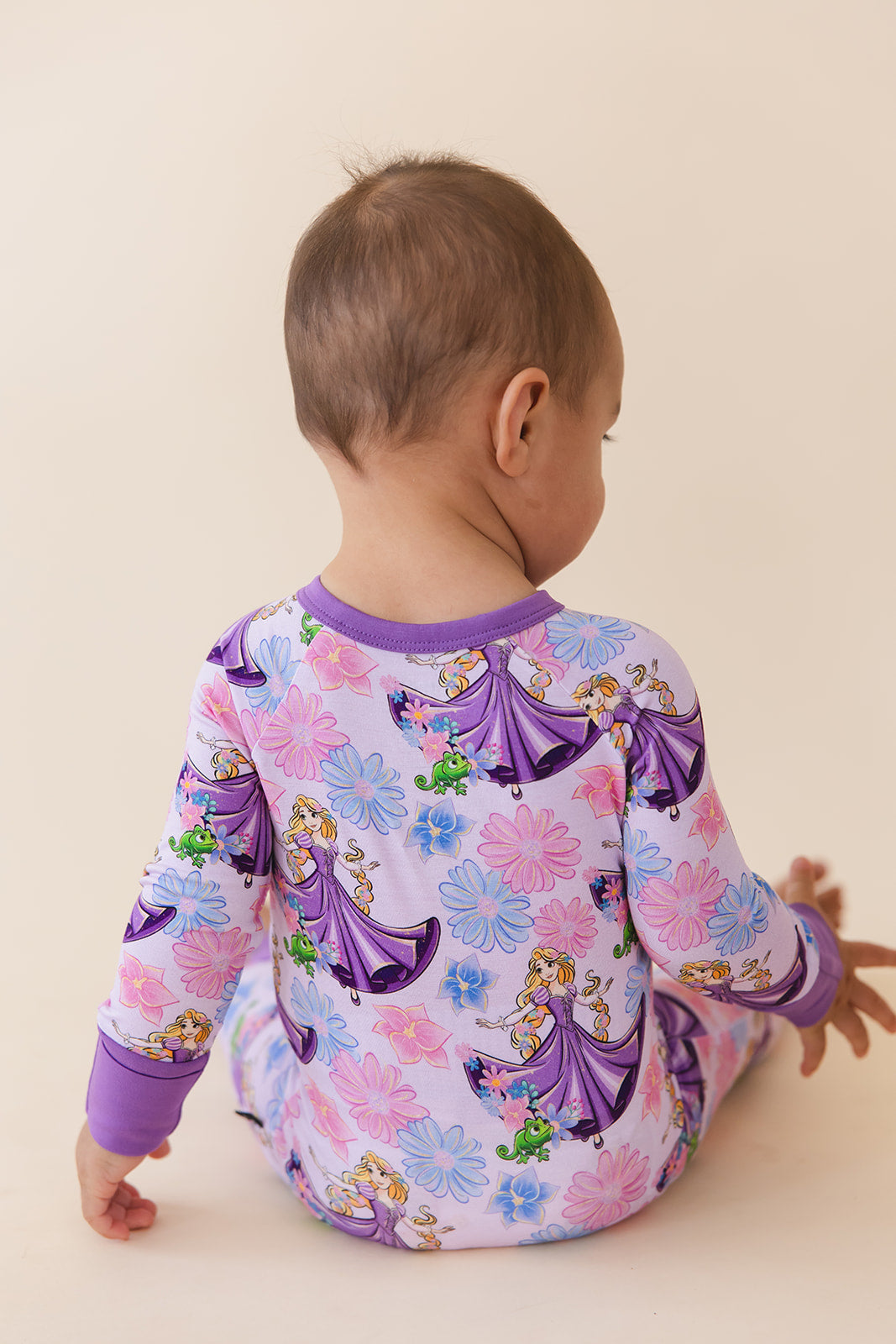 The Lost Princess - Zippy