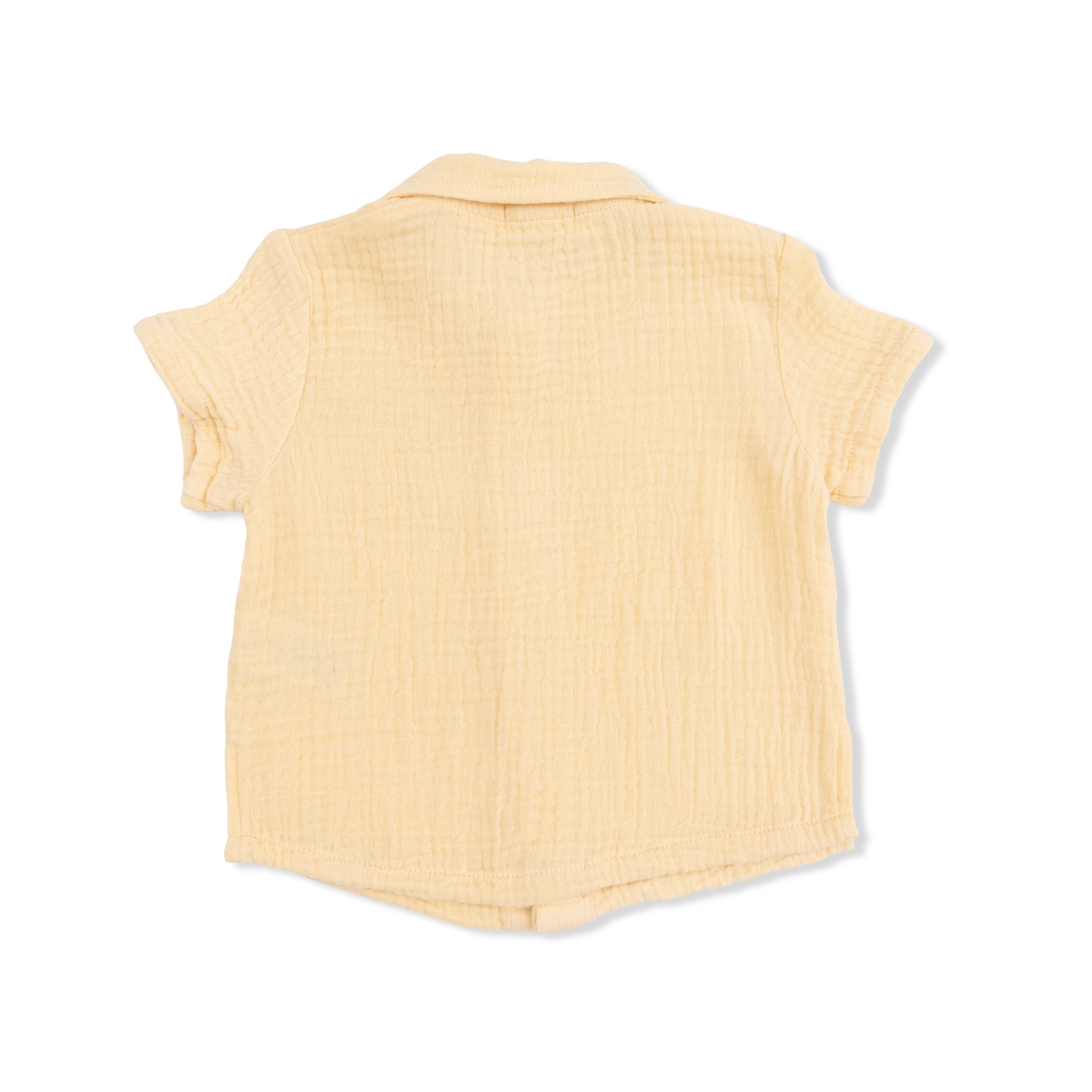 Micro Gingham Blue Blizzard - Polo Button Up With Casual Short