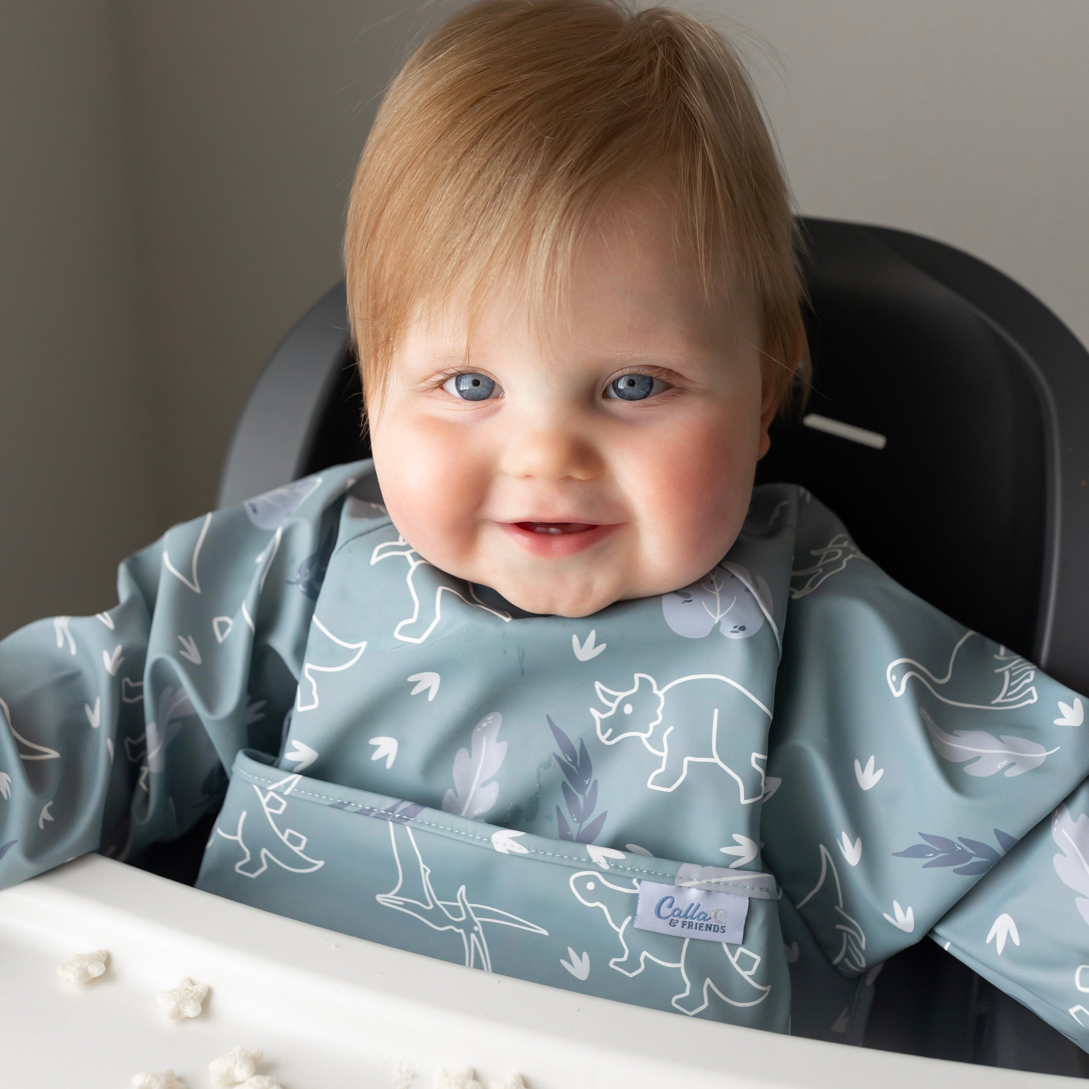 The Grayson Long Sleeve Bib - Dino