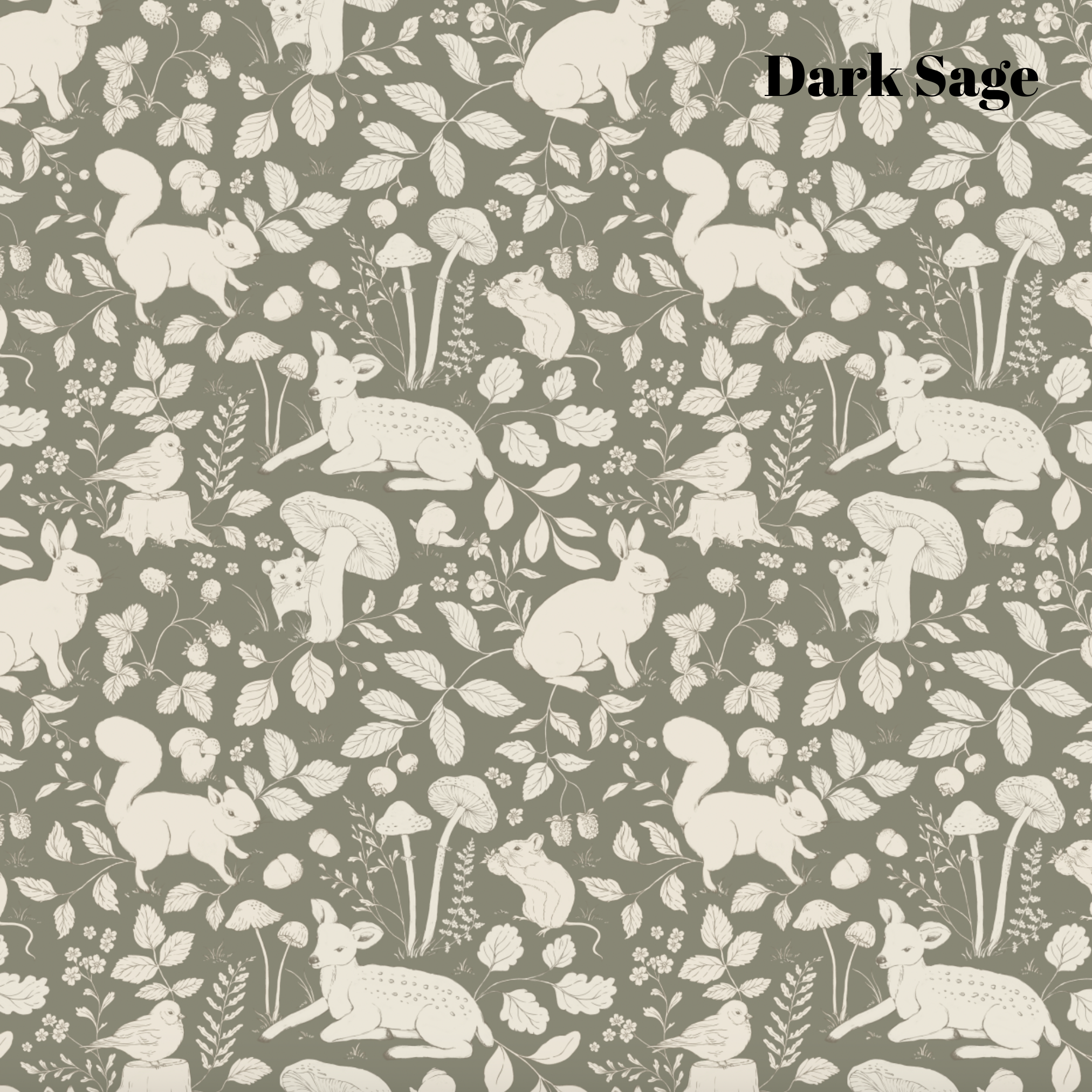Finch Wallpaper By Daphne And Sage