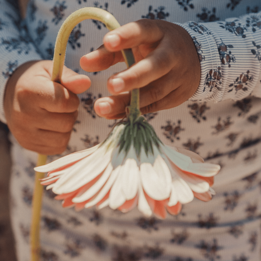 The Printed Long Sleeve Dress - Vintage Rose