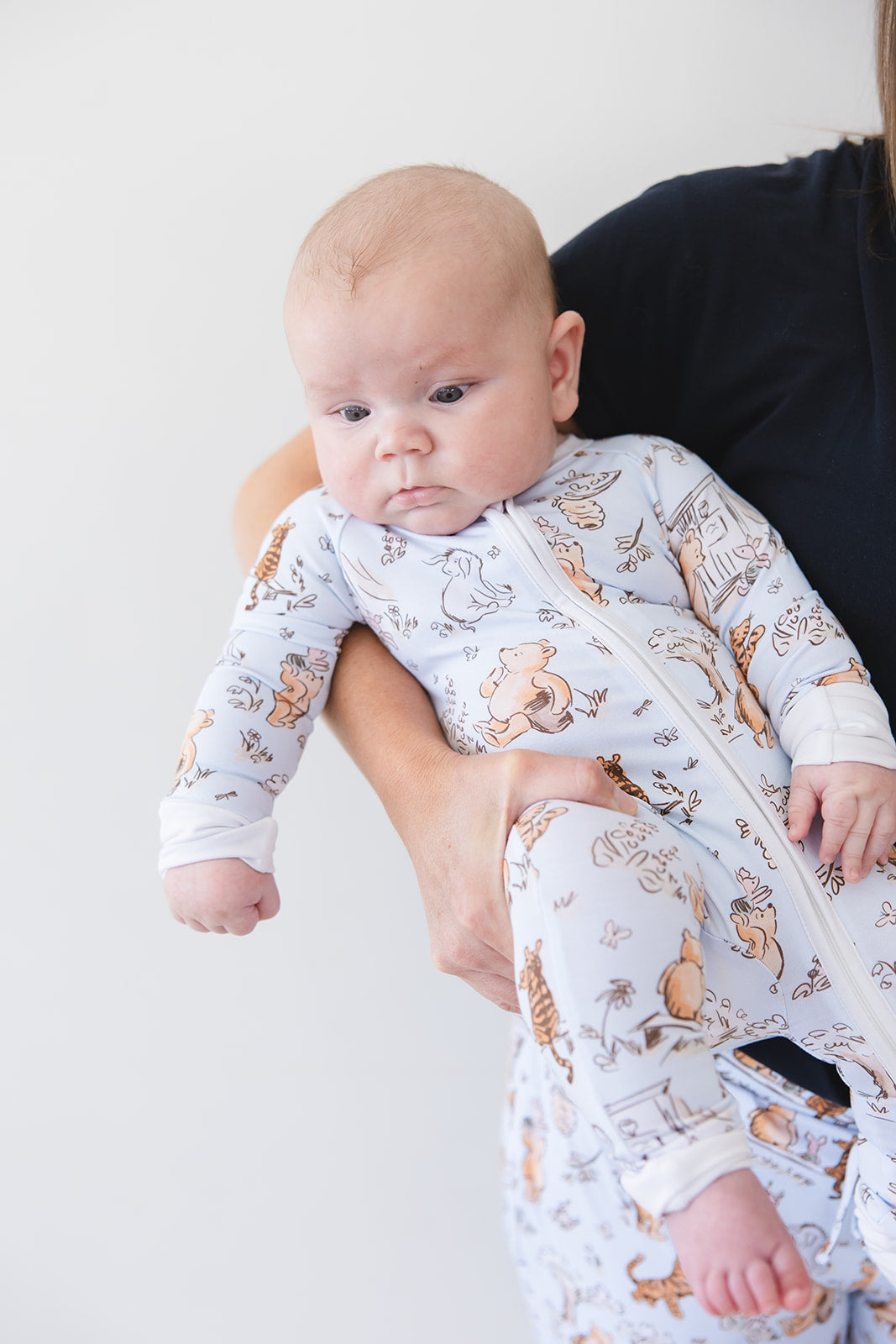 Silly Old Bear - Zippy