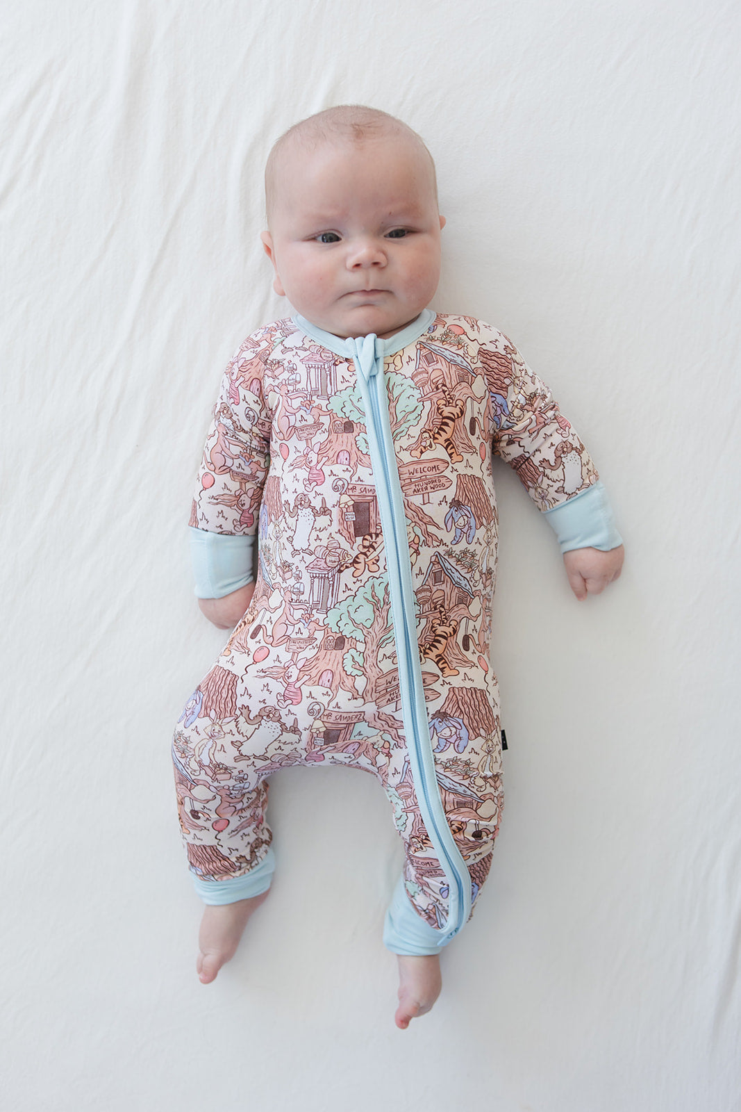 Hundred Acre Wood - Zippy