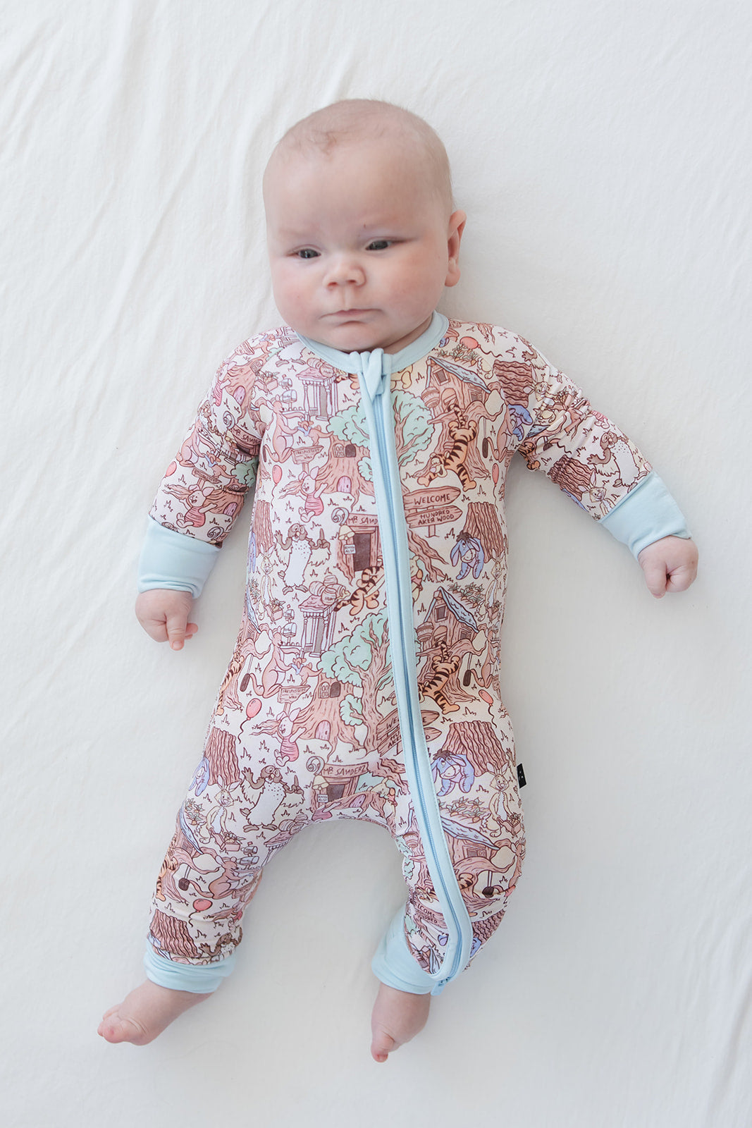 Hundred Acre Wood - Zippy