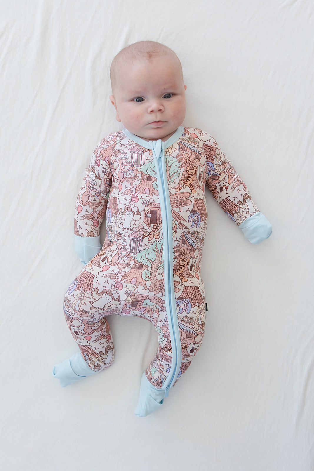 Hundred Acre Wood - Zippy