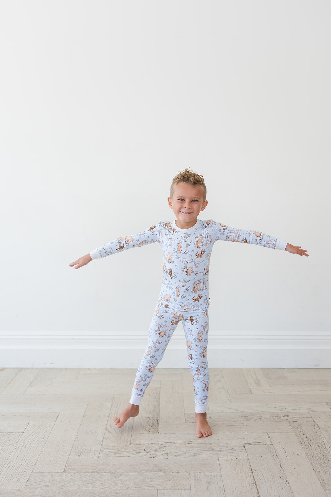 Silly Old Bear - Set