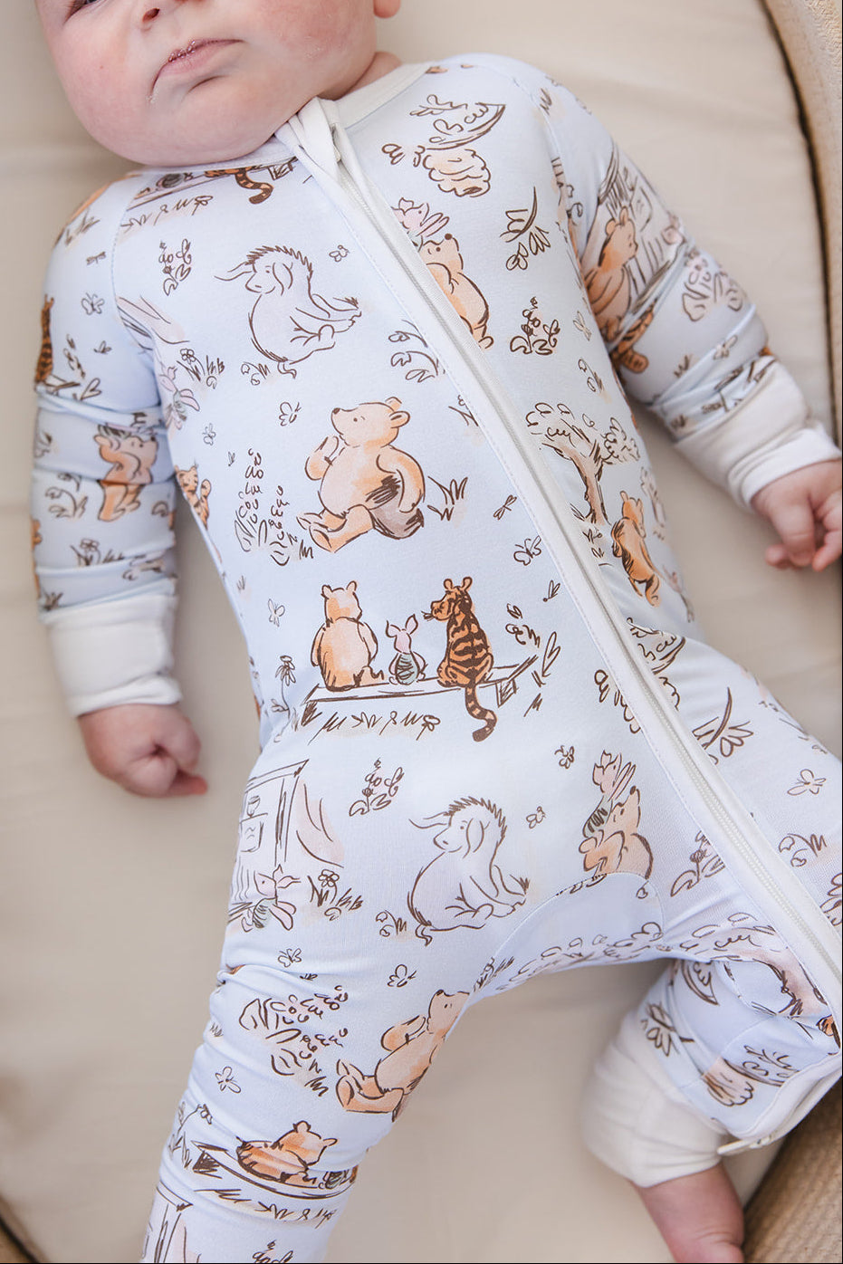 Silly Old Bear - Zippy